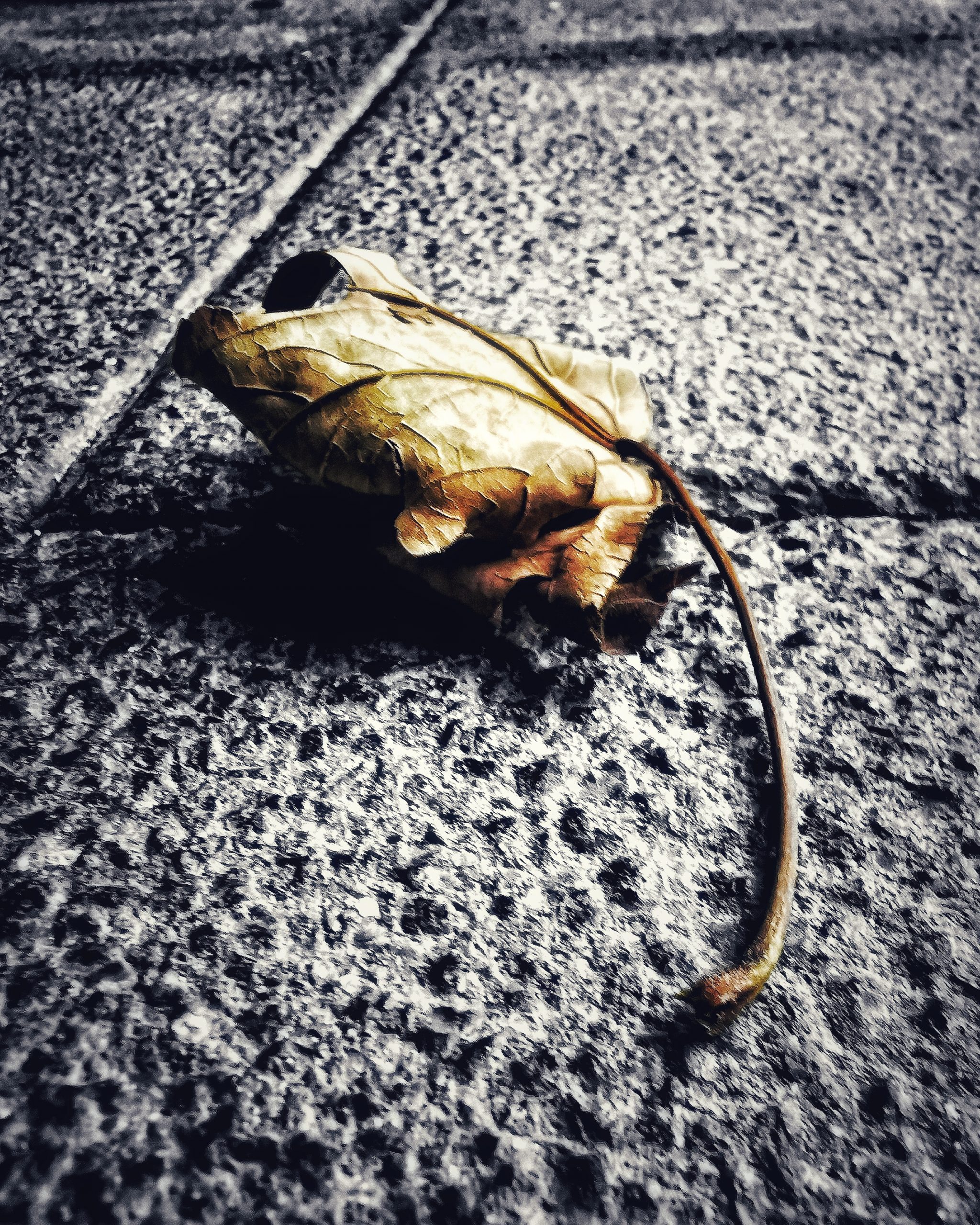 Los pequeños detalles 81 – Fotografía creativa móvil en Barakaldo | Ibarakaldo