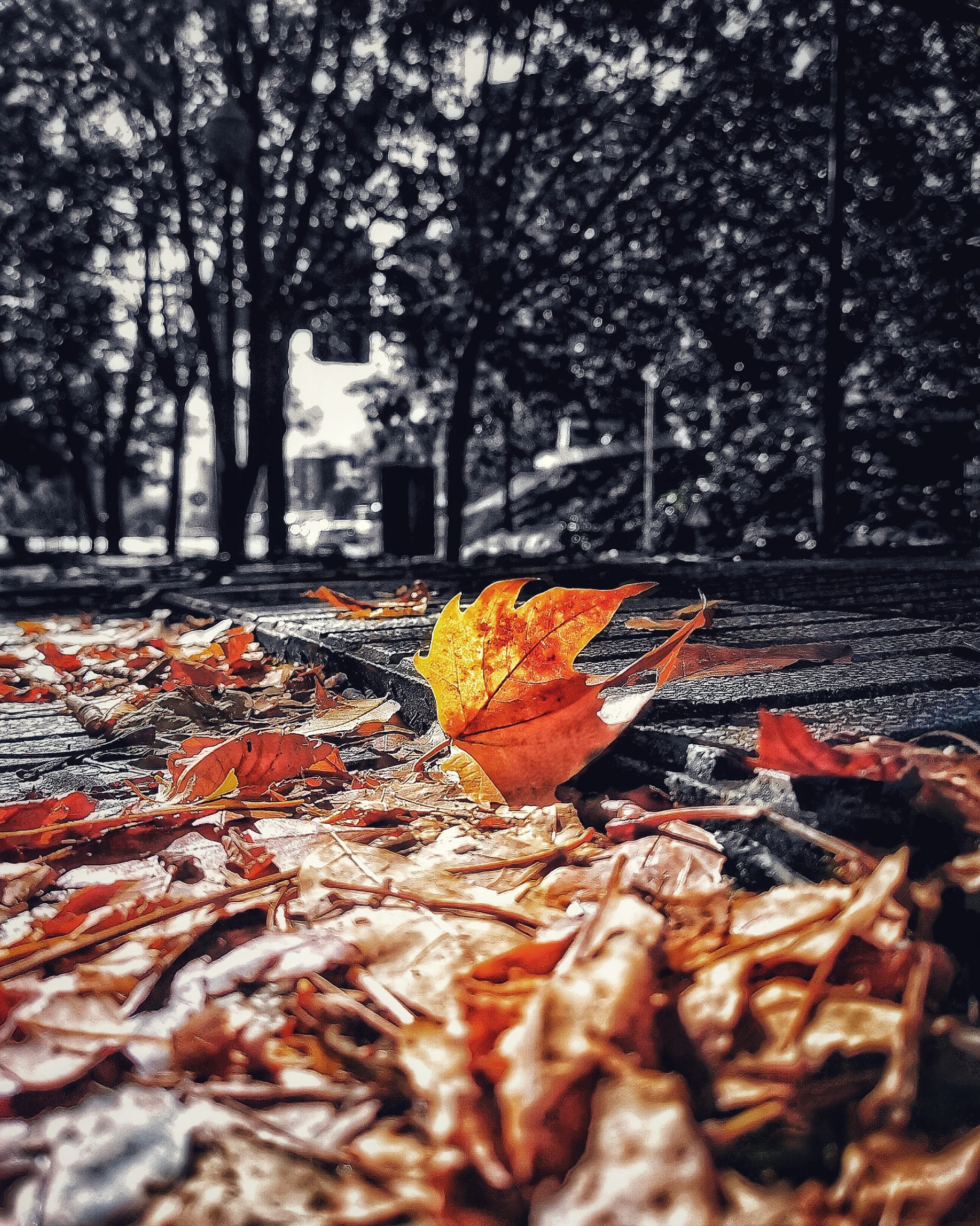 Los pequeños detalles 79 – Fotografía creativa móvil en Barakaldo | Ibarakaldo