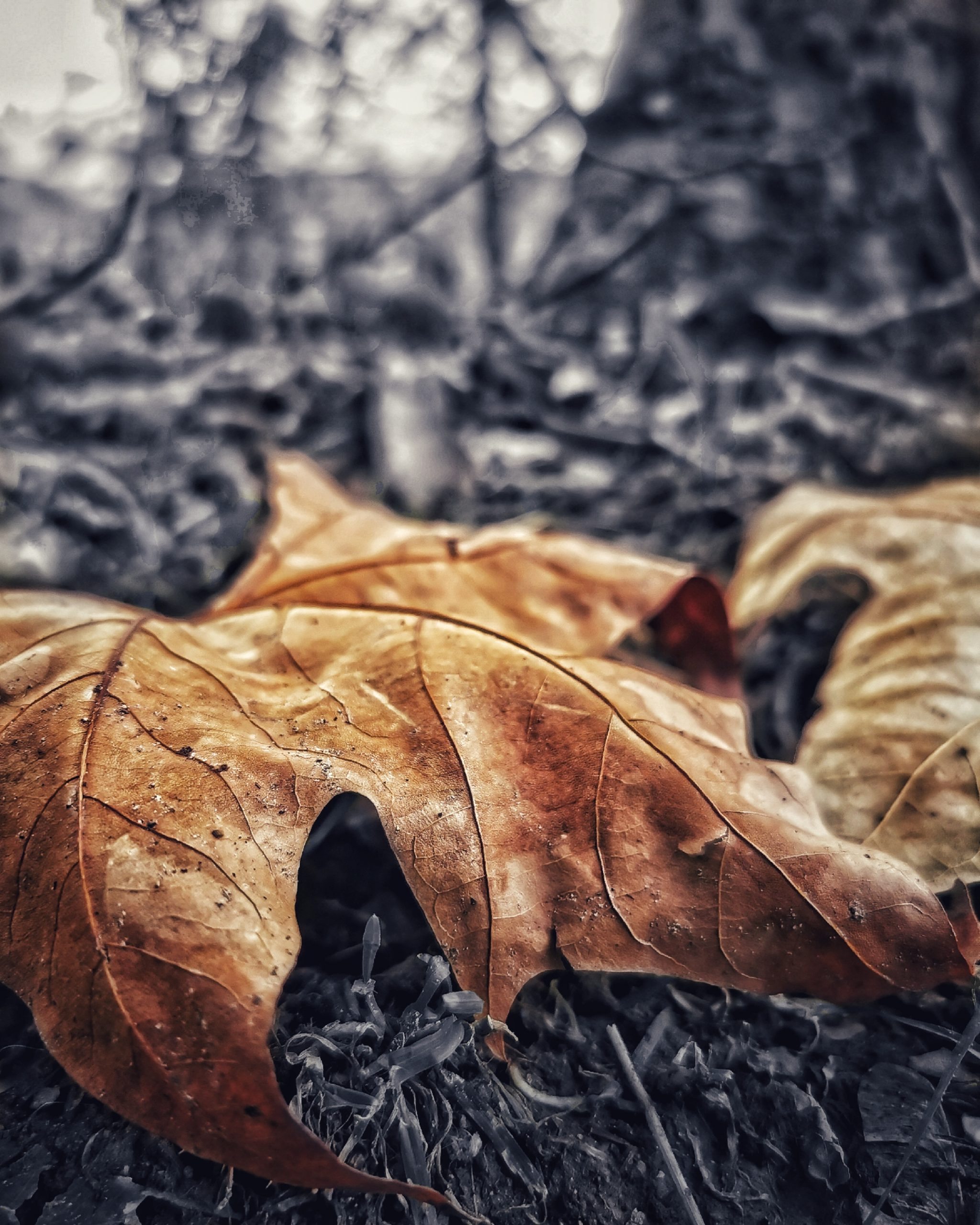 Los pequeños detalles 78 – Fotografía creativa móvil en Barakaldo | Ibarakaldo