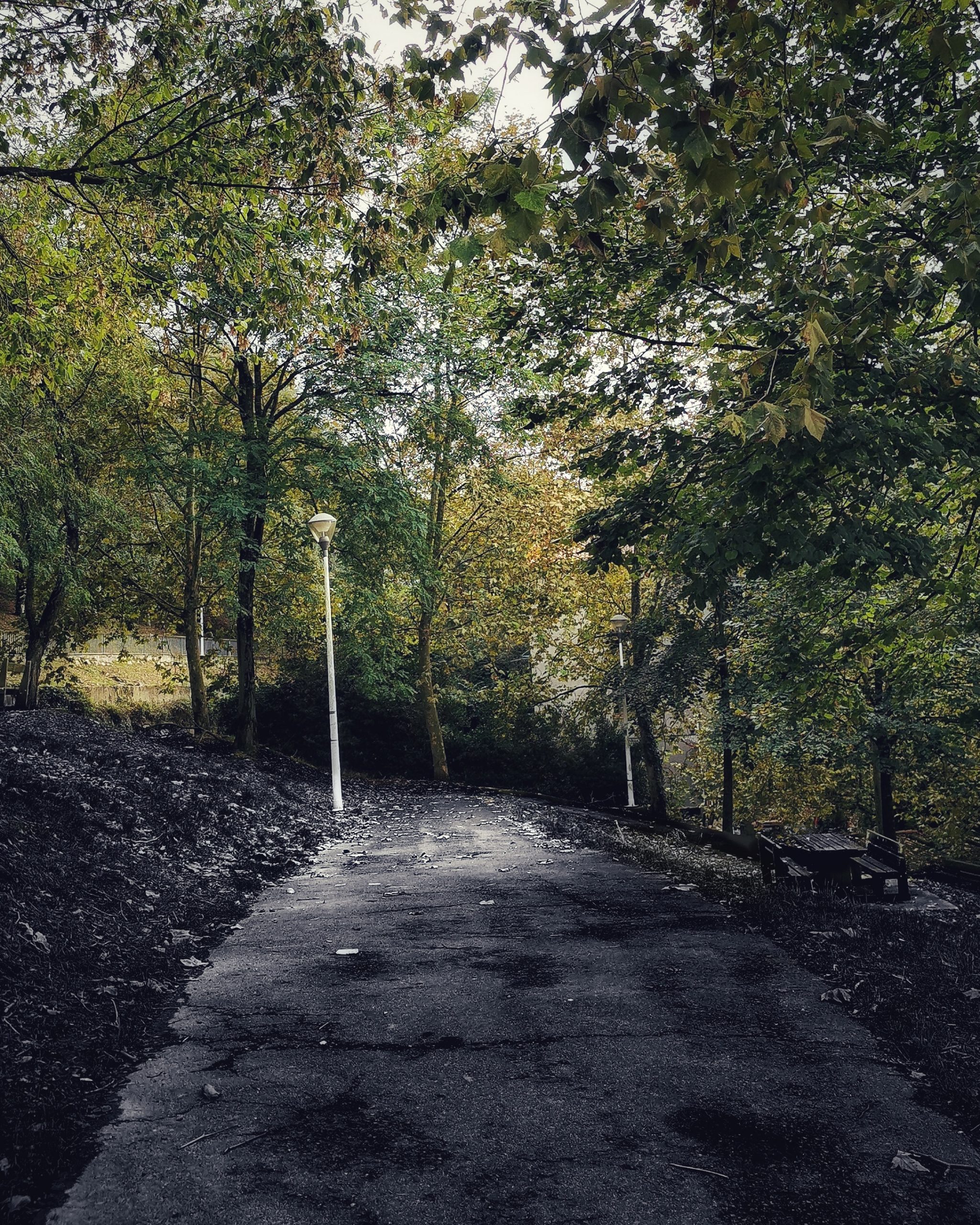 Desaturado Selectivo | Senda… | Momentos Splash (Cut Out). Fotografía Creativa Ibarakaldo