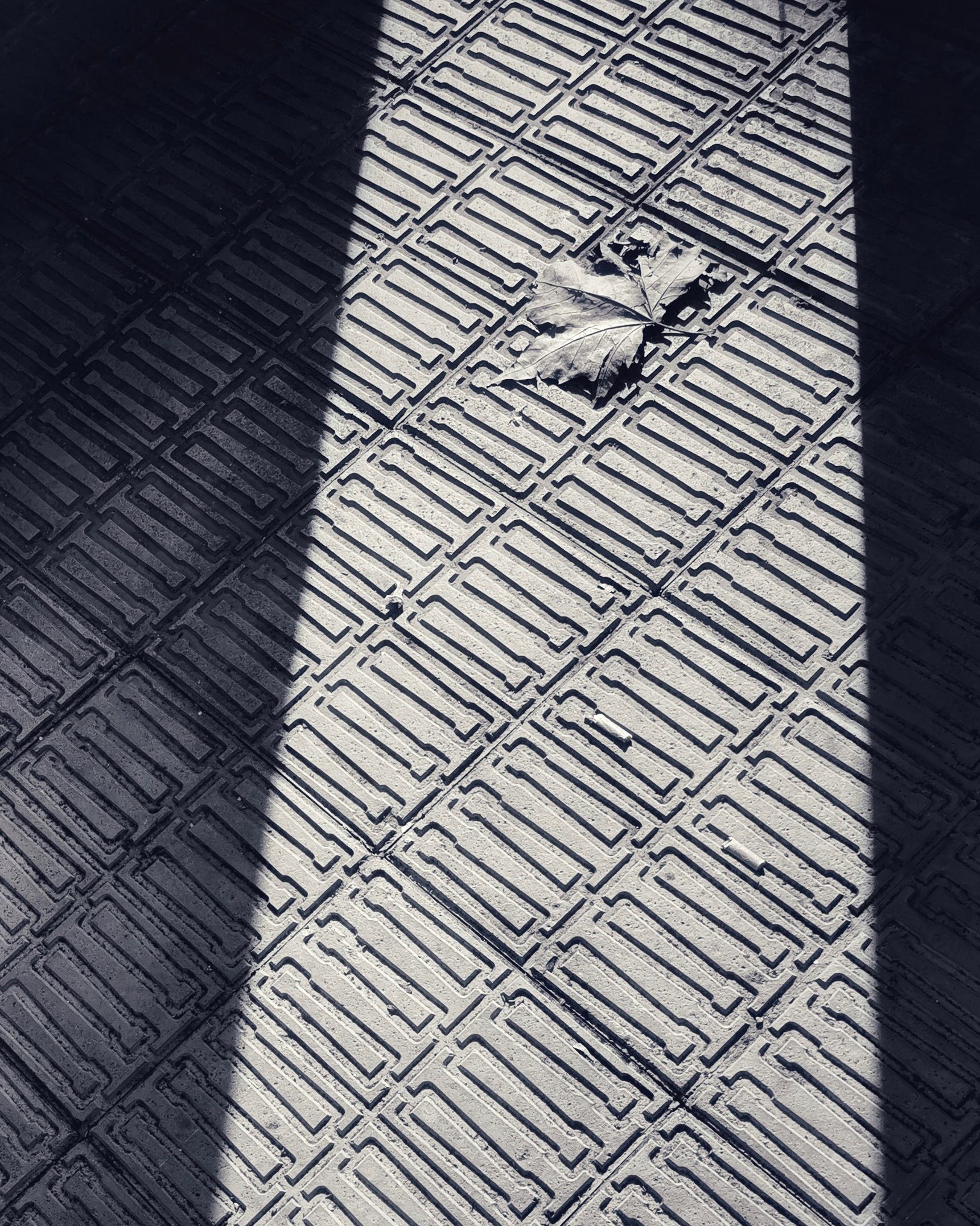 Creatividad 158  – Fotografía creativa móvil en Barakaldo | Ibarakaldo