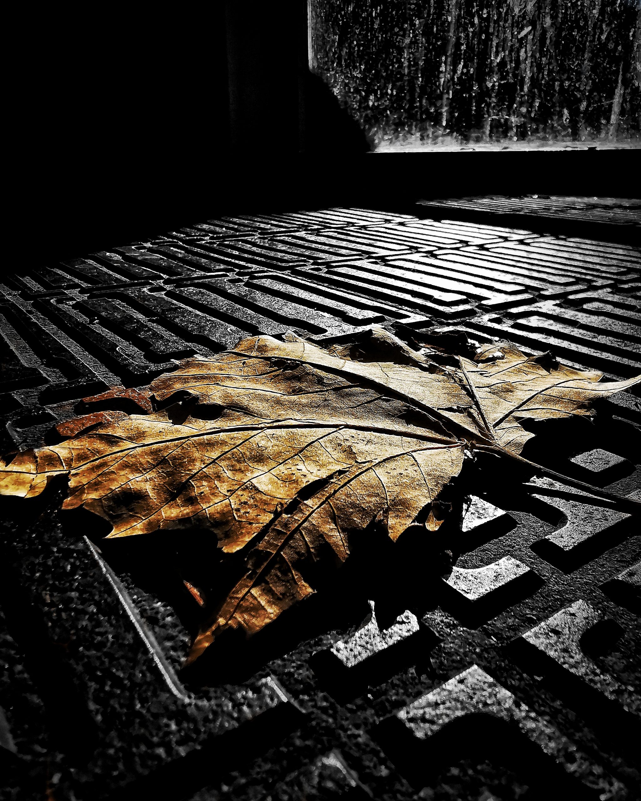 Los pequeños detalles 83 – Fotografía creativa móvil en Barakaldo | Ibarakaldo