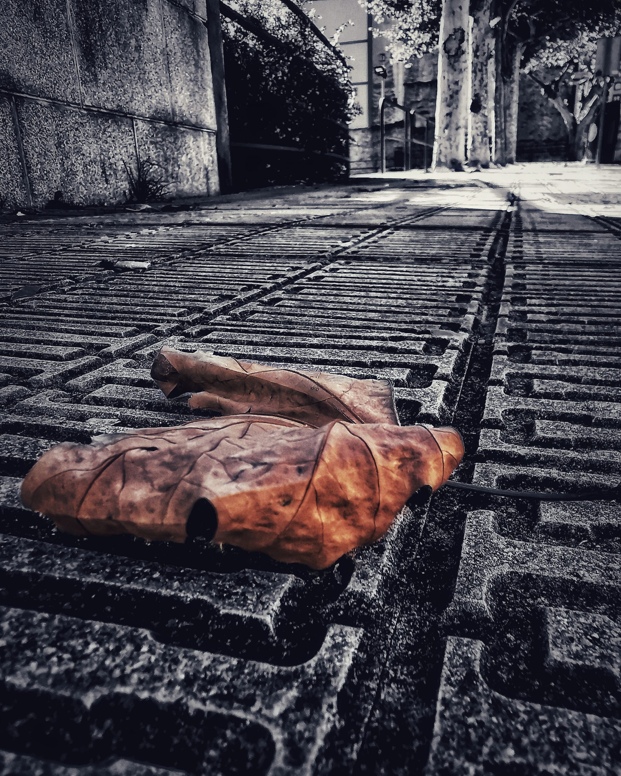 Los pequeños detalles 82 – Fotografía creativa móvil en Barakaldo | Ibarakaldo