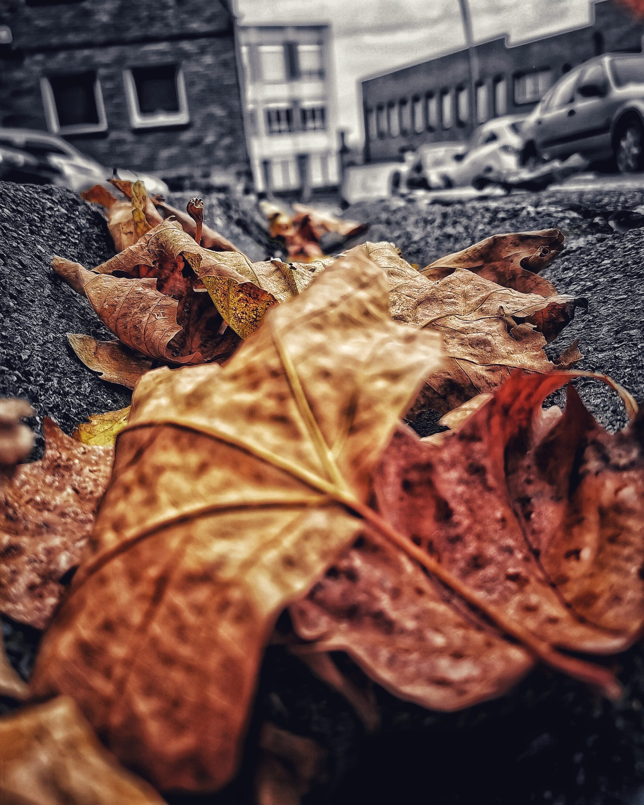 Los pequeños detalles 84 – Fotografía creativa móvil en Barakaldo | Ibarakaldo