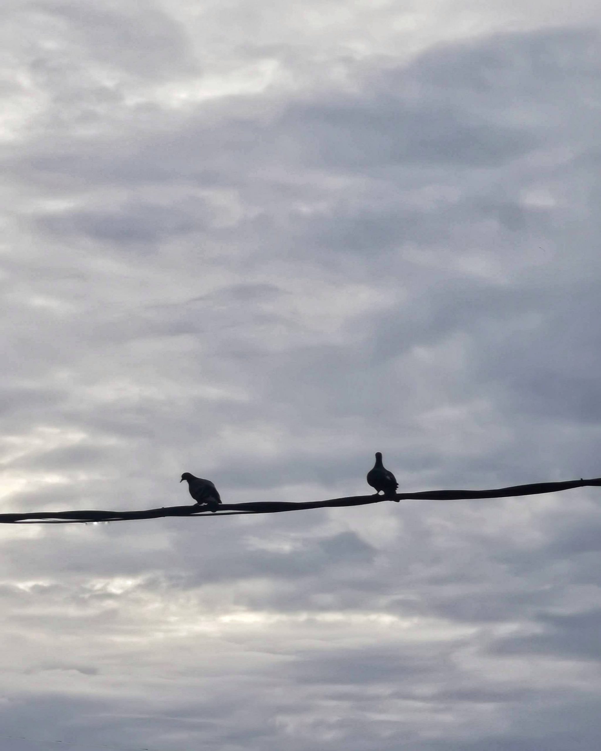 Llamalo X… 17 – Fotografía creativa móvil en Barakaldo | Ibarakaldo