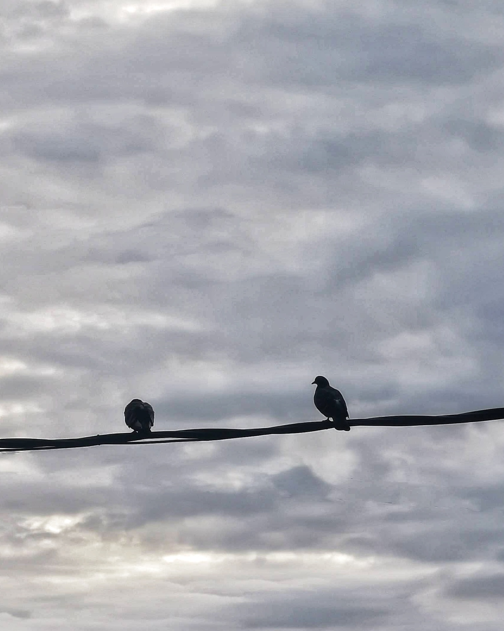 Llamalo X… 16– Fotografía creativa móvil en Barakaldo | Ibarakaldo