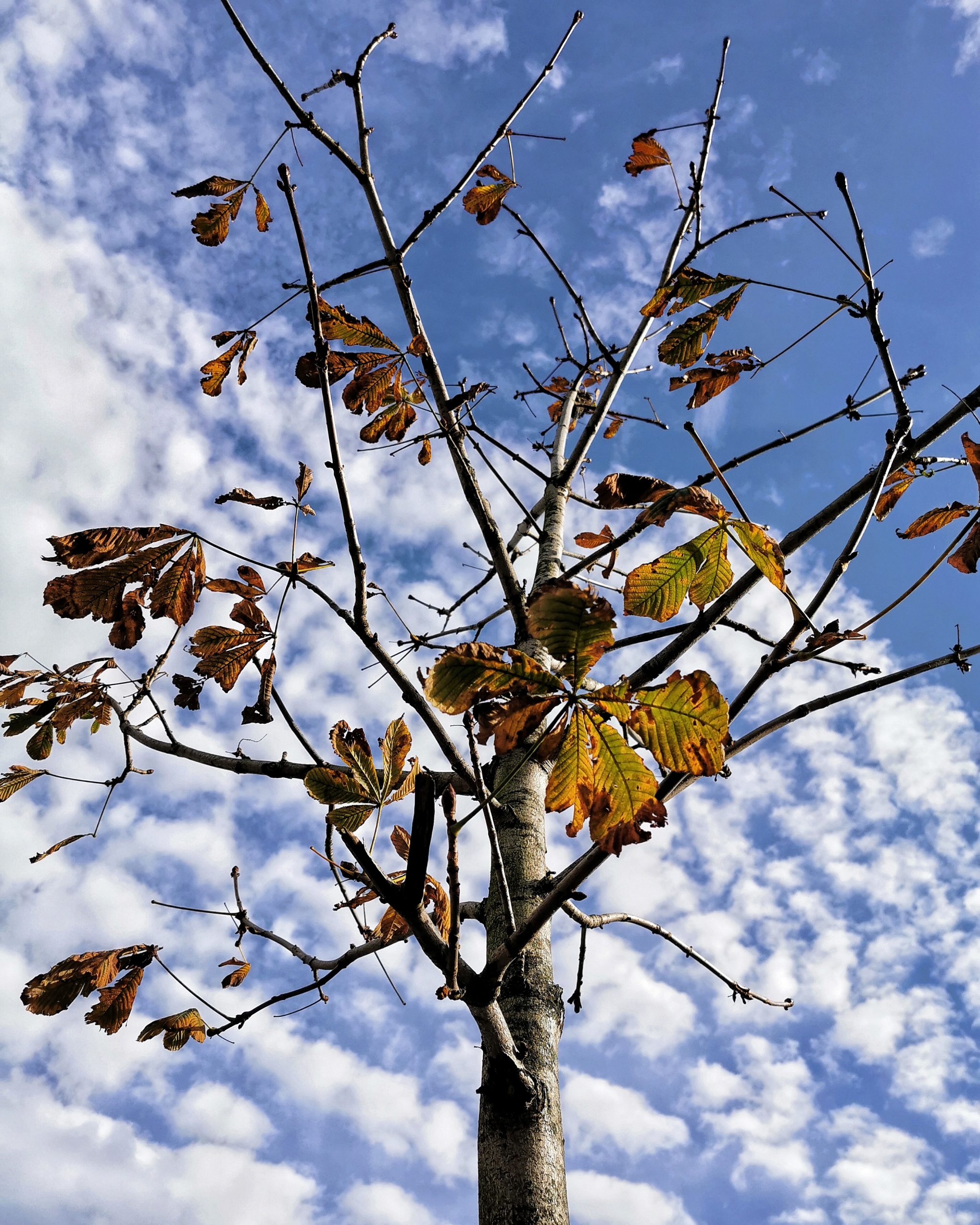 WINTER. Paso a paso… 3 – Fotografía creativa móvil en Barakaldo | Ibarakaldo