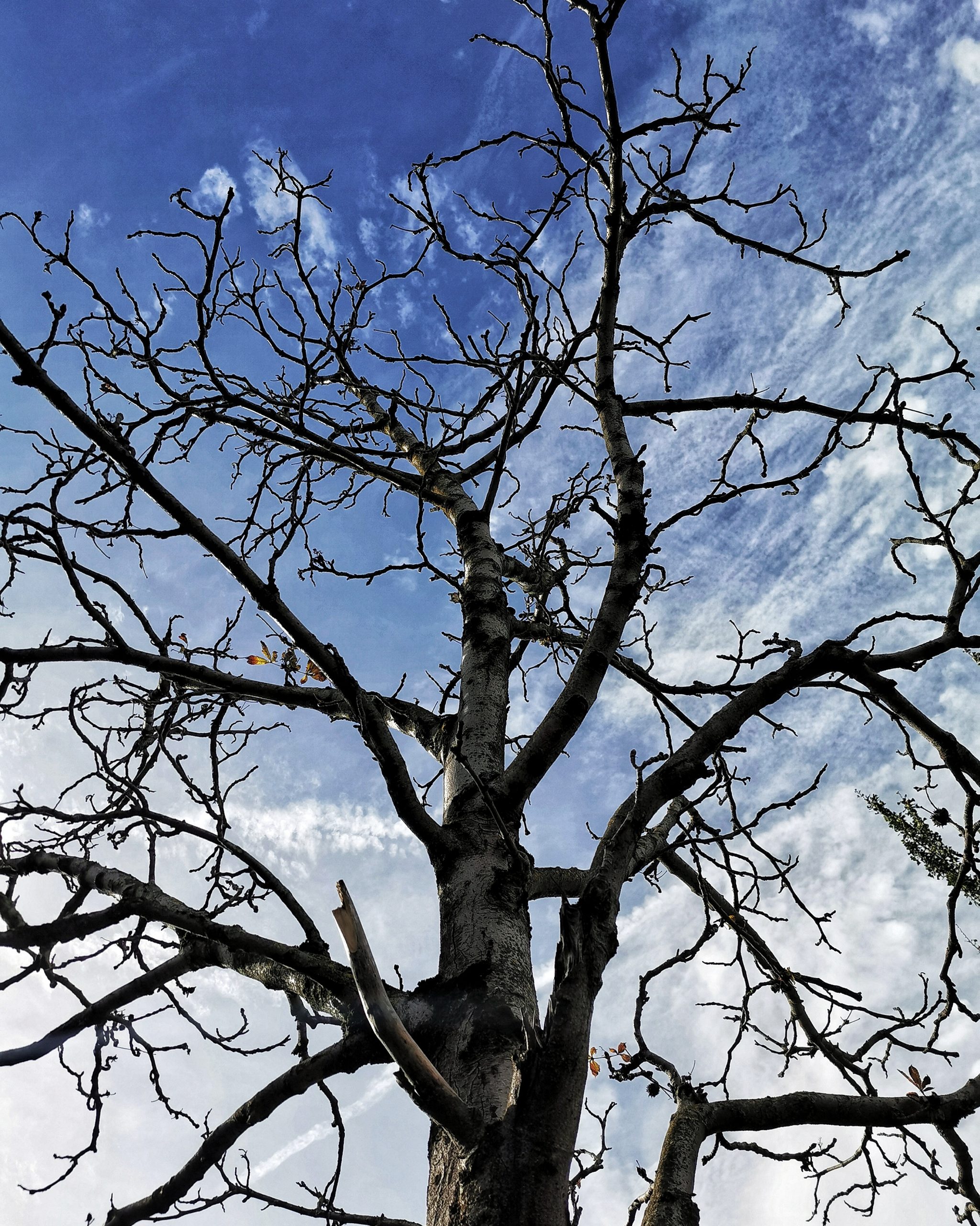 Paso a paso… 2 – Fotografía creativa móvil en Barakaldo | Ibarakaldo