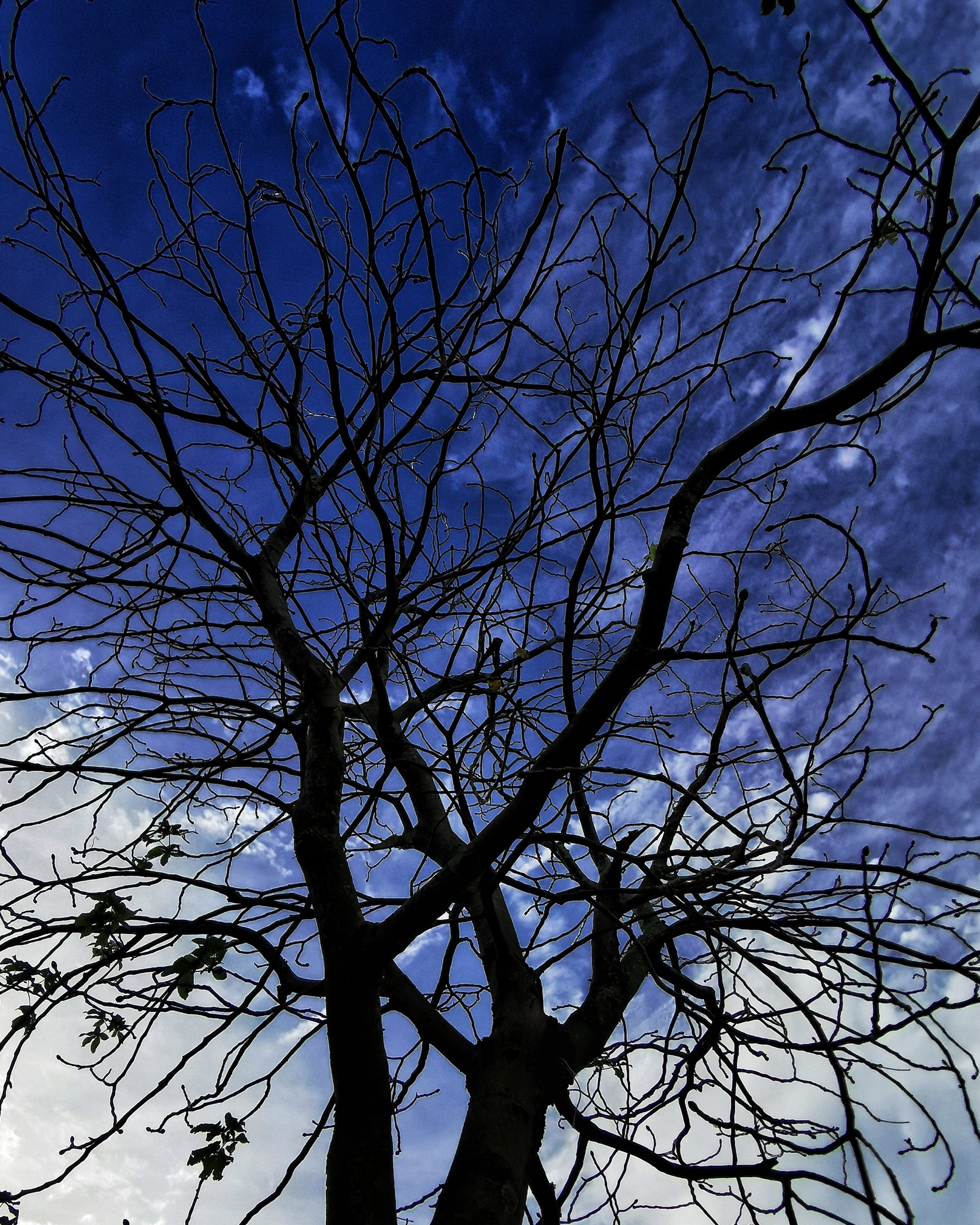 Paso a paso… – Fotografía creativa móvil en Barakaldo | Ibarakaldo