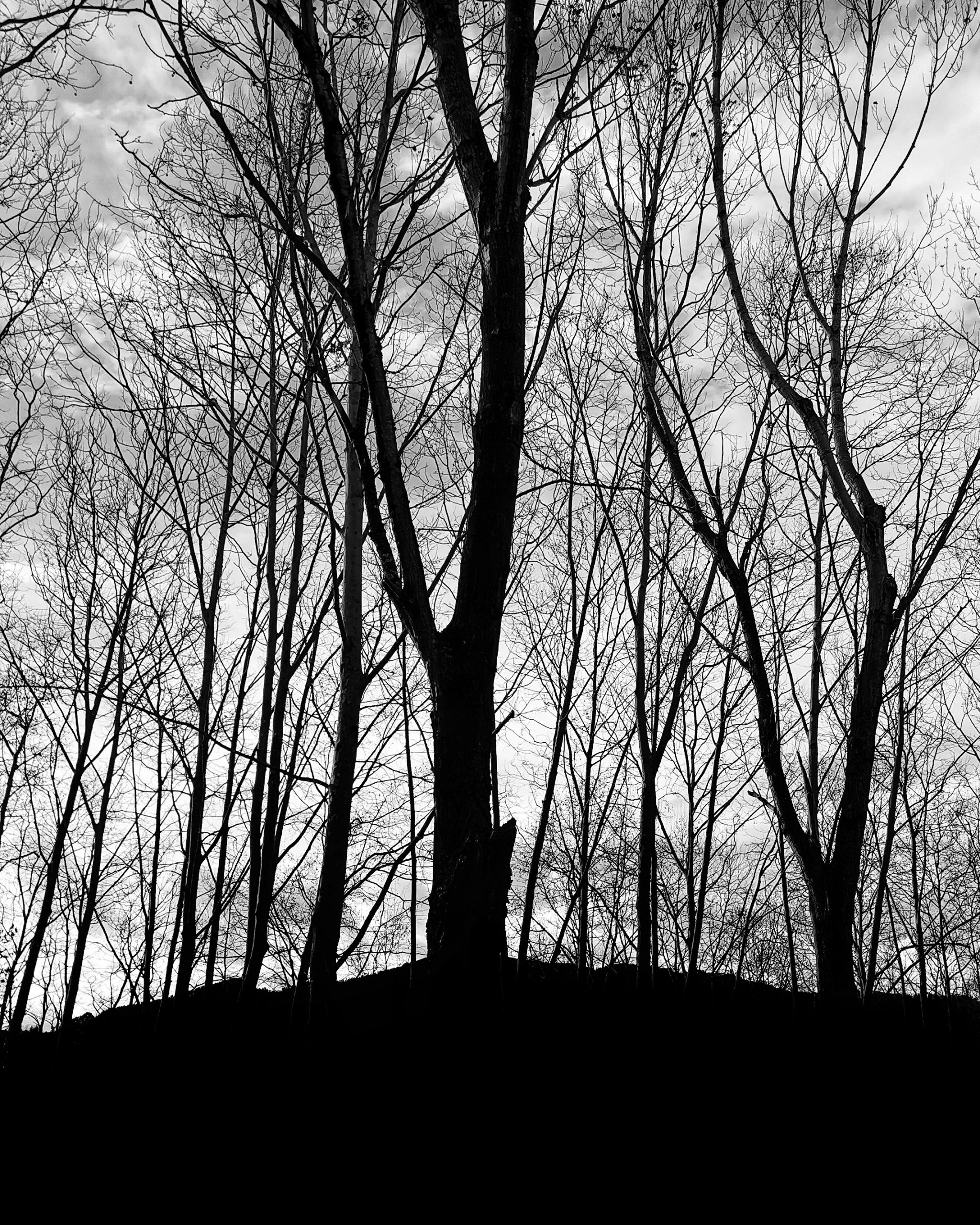 Creatividad 191 – Fotografía creativa móvil en Barakaldo | Ibarakaldo