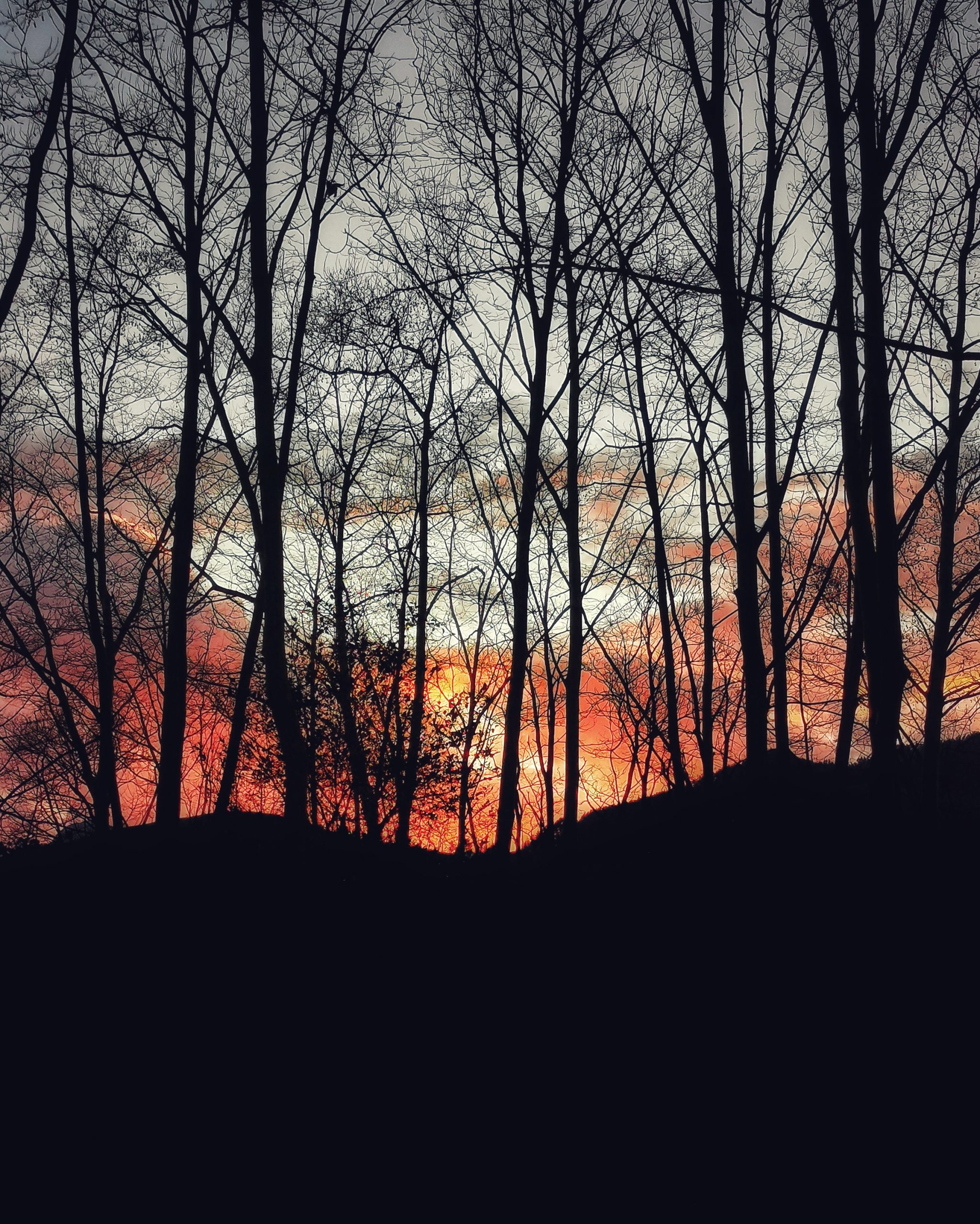 Made in Heaven 141 – El Cielo en Barakaldo | Ibarakaldo