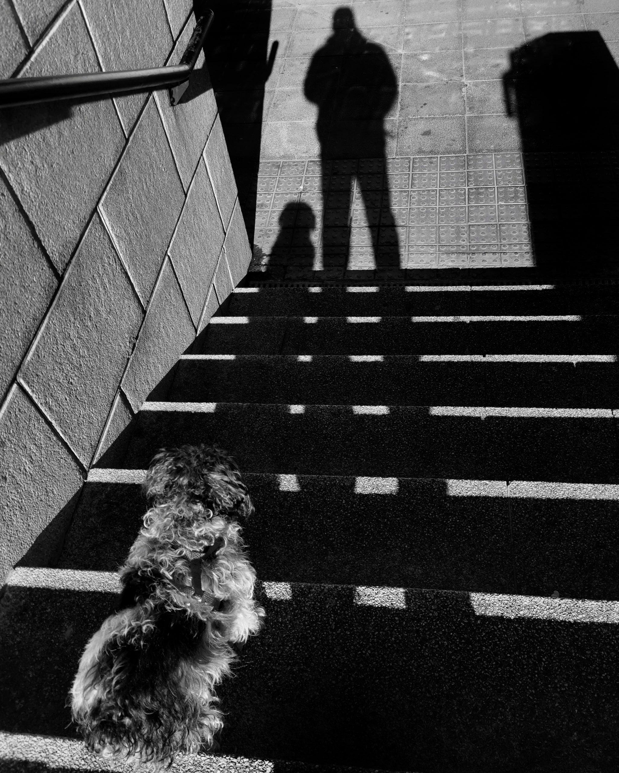 Creatividad 204 – Fotografía creativa móvil en Barakaldo | Ibarakaldo