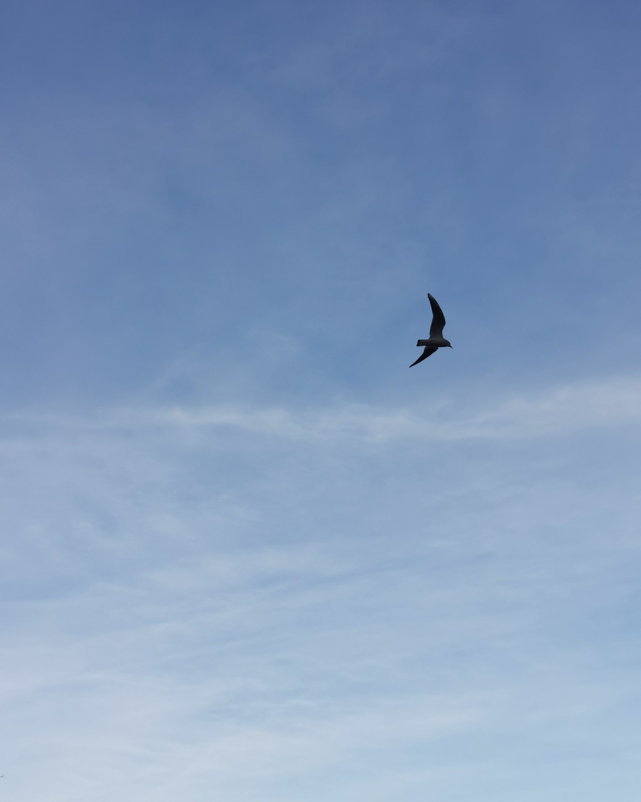 Flying Free 4 – Fotografía creativa móvil en Barakaldo | Ibarakaldo