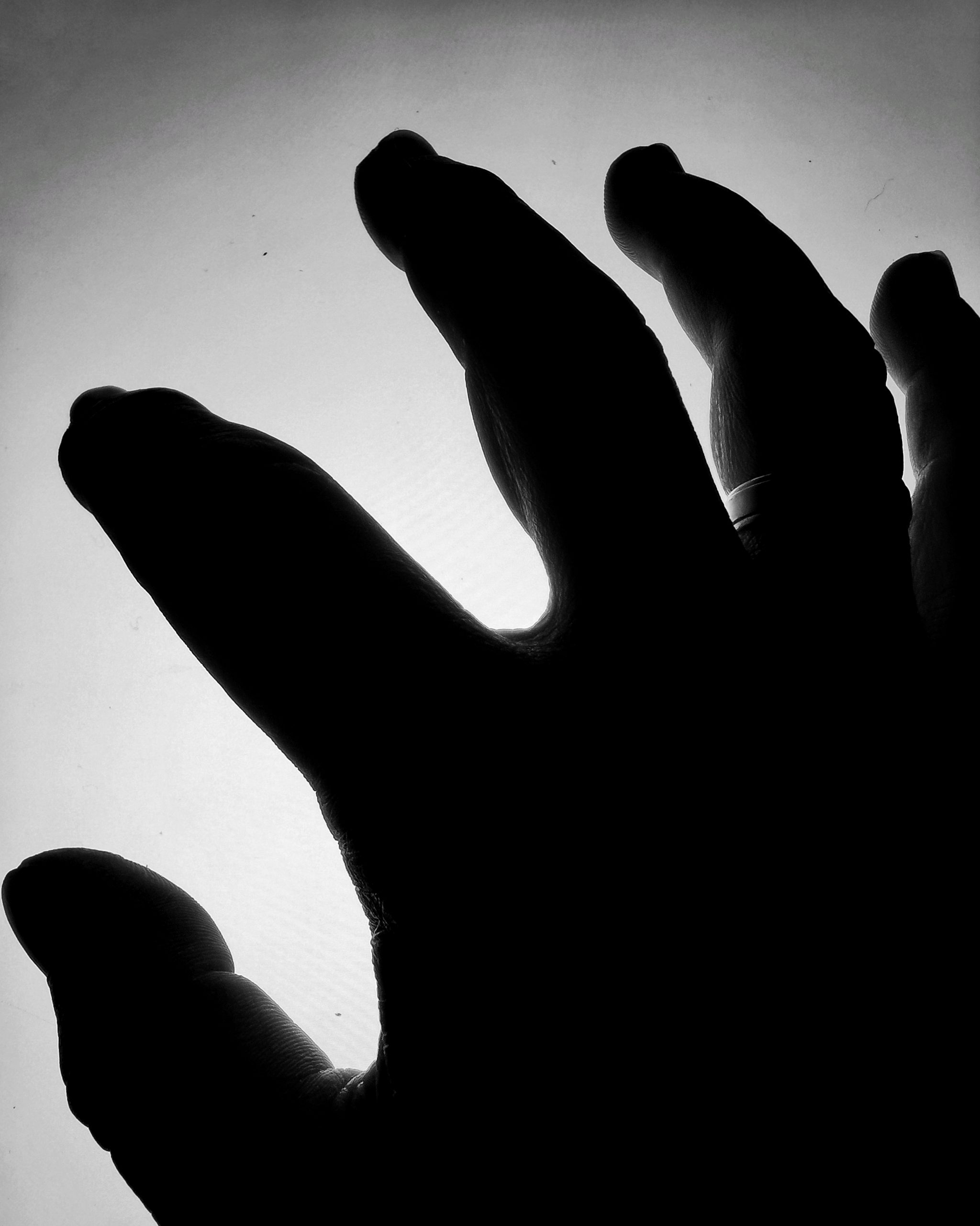 Ya han llegadooo…. – Fotografía creativa móvil en Barakaldo | Ibarakaldo