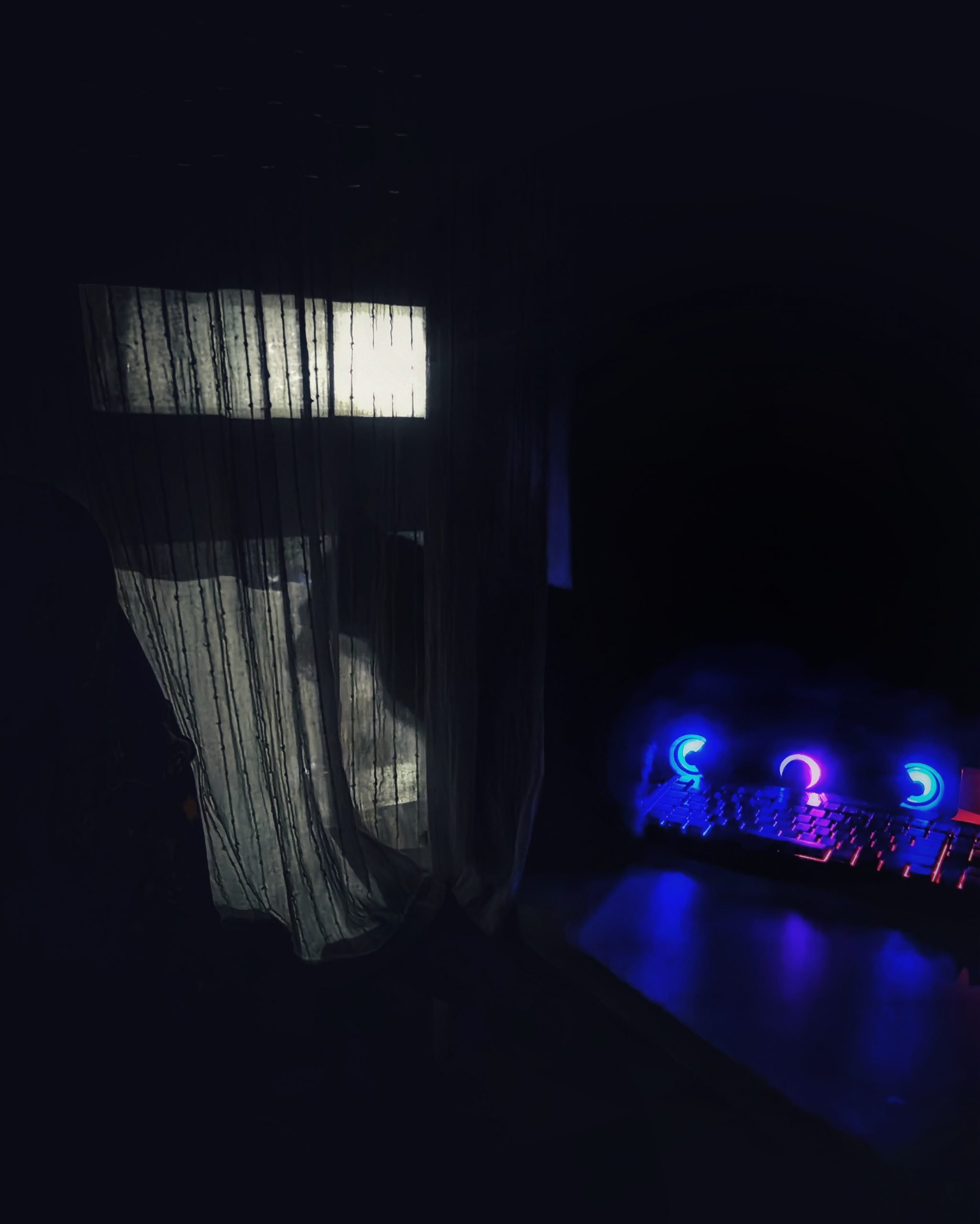 Actividad Nocturna | Las Aventuras de Beltza La Pantera Negra | Ibarakaldo