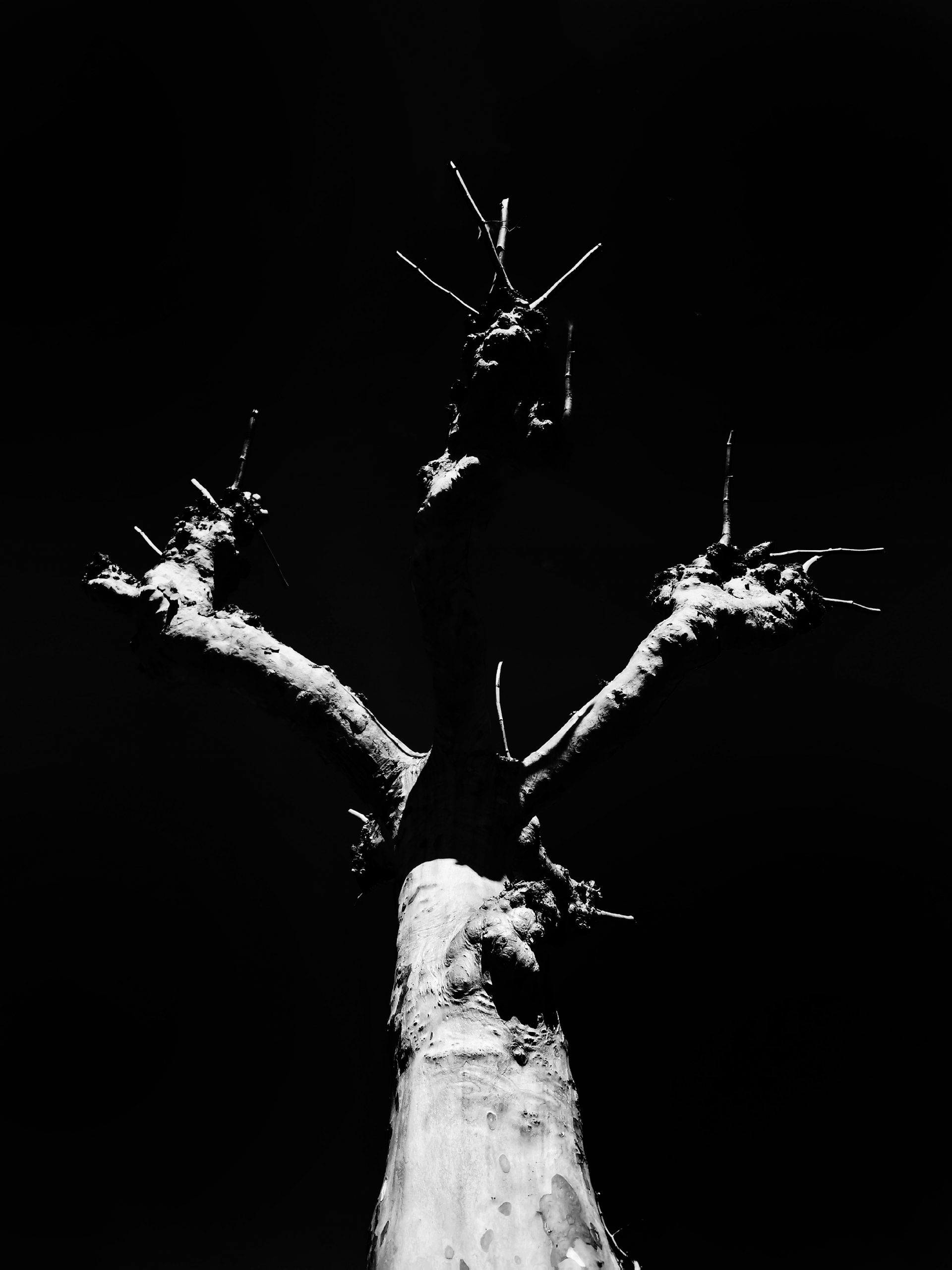 Camaradas … Levantaos y alzar la vozzzz  – Fotografía creativa móvil en Barakaldo | Ibarakaldo