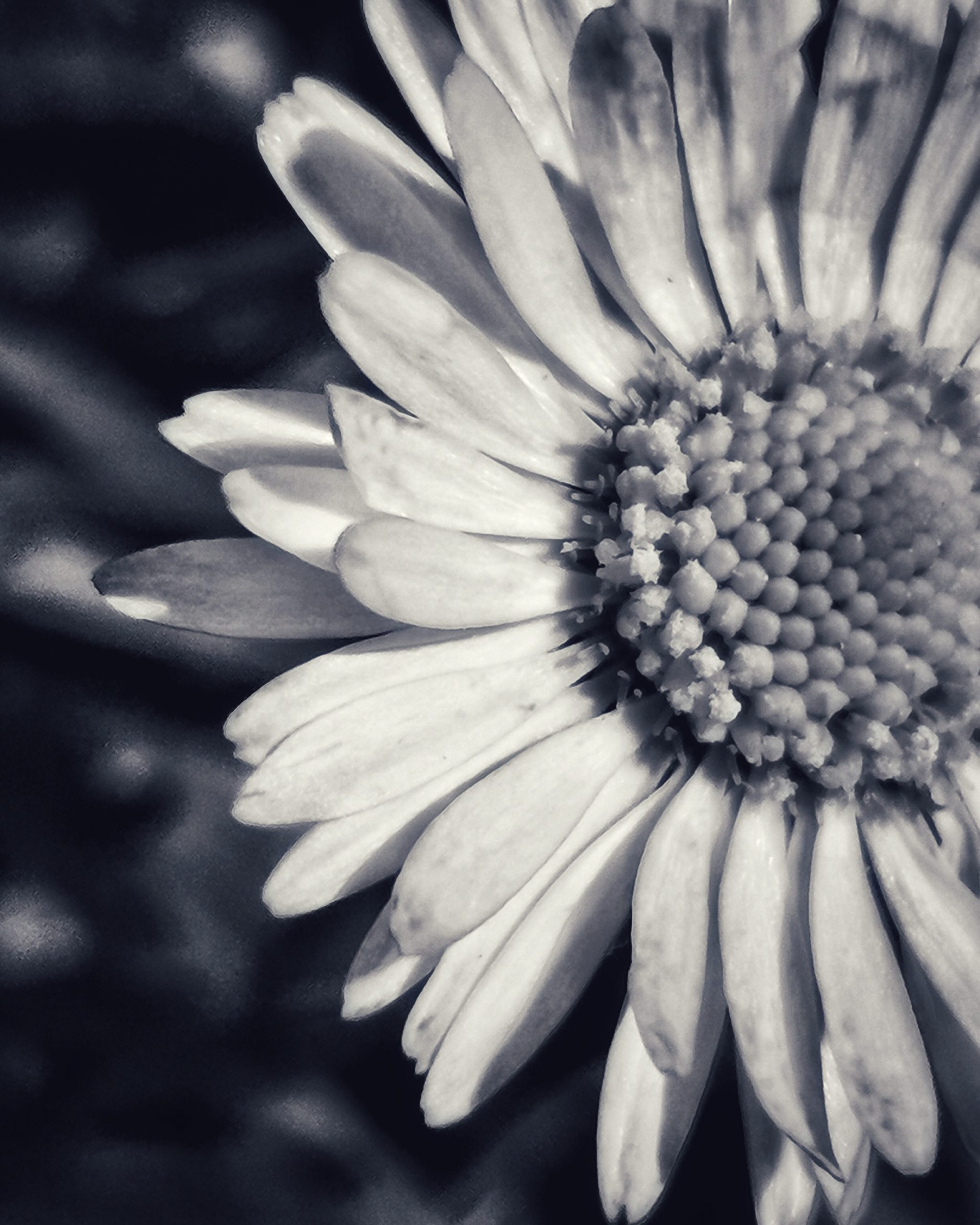 Instante… – Fotografía creativa móvil en Barakaldo | Ibarakaldo