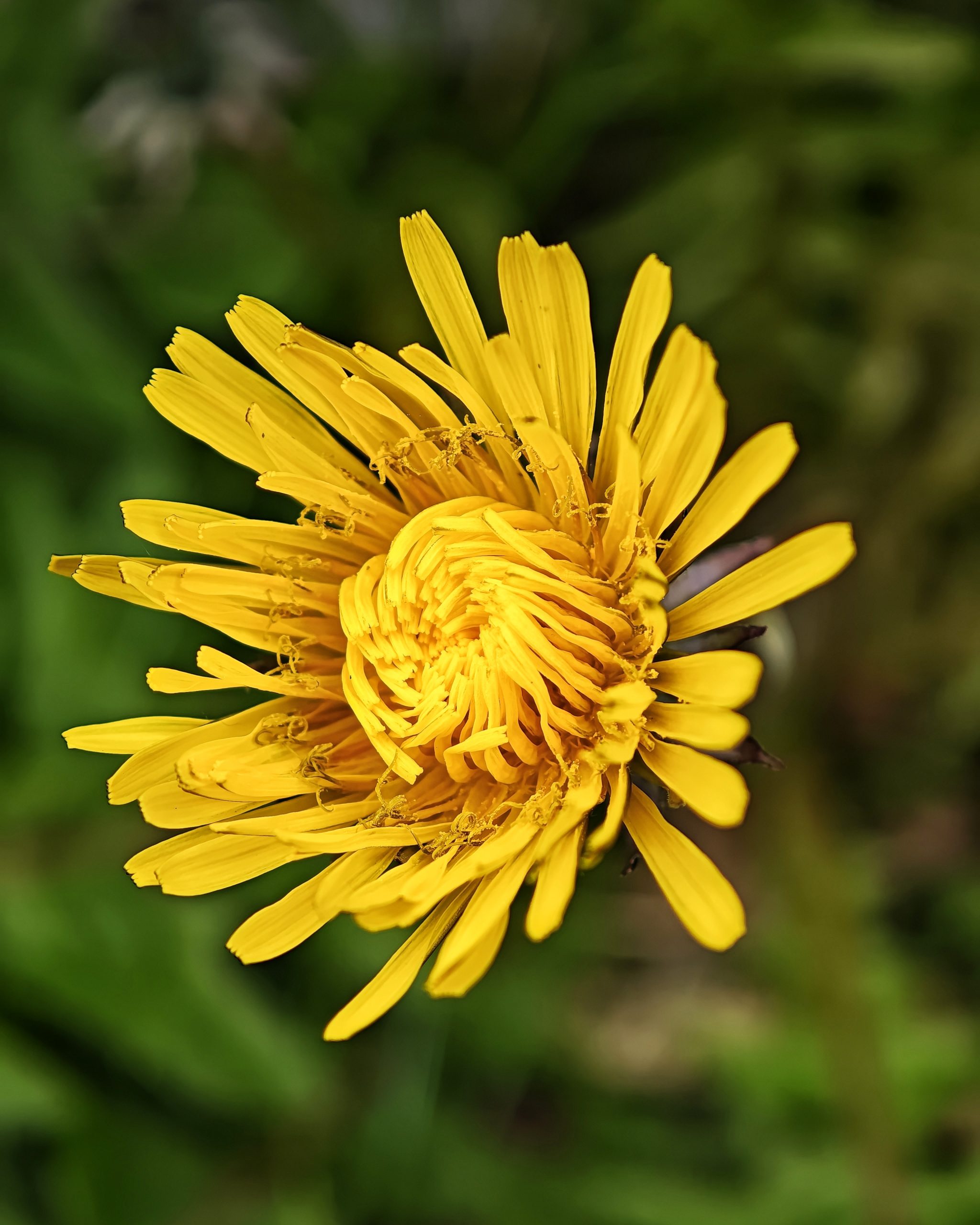 La Primavera 3 – Fotografía creativa móvil en Barakaldo | Ibarakaldo
