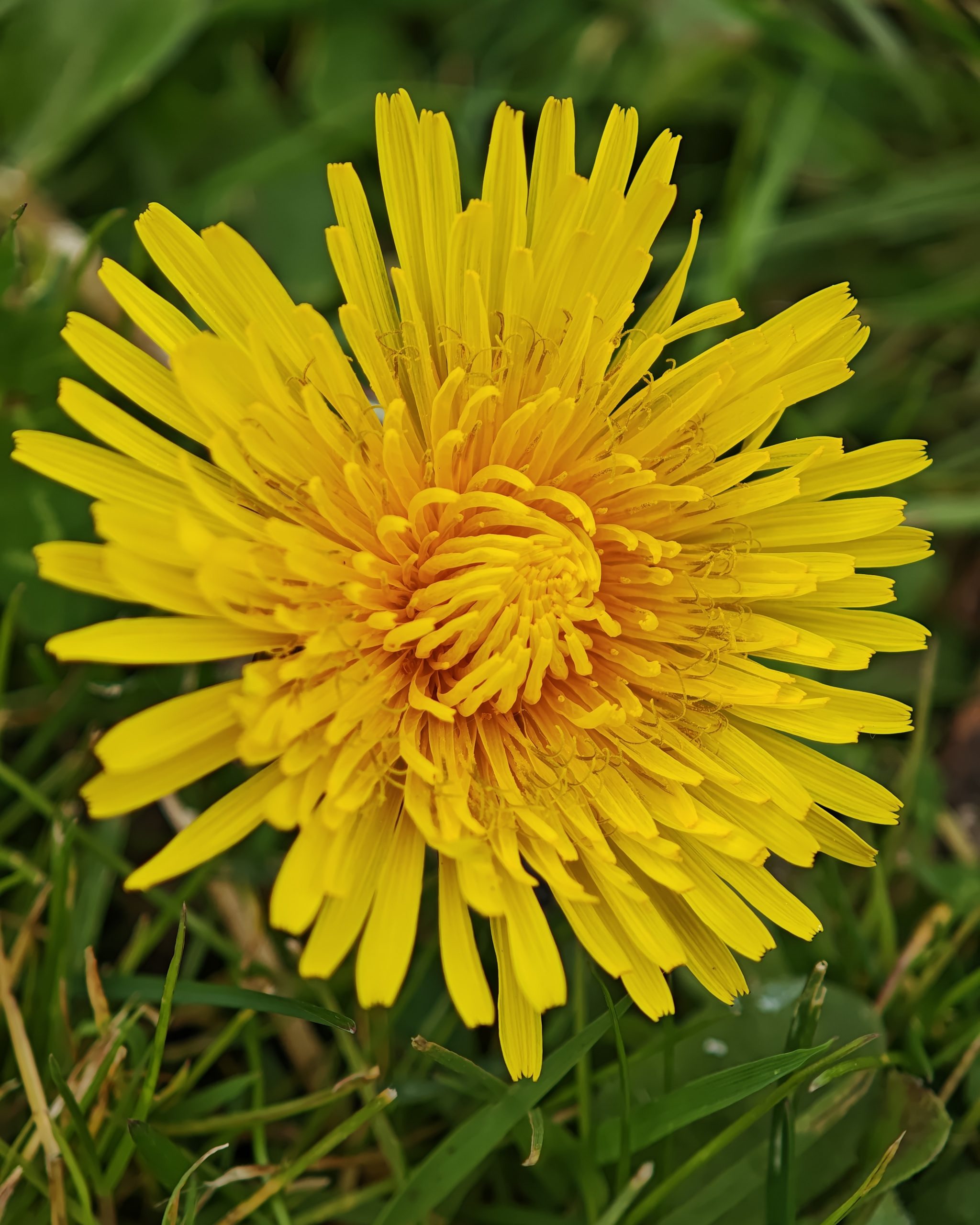 La Primavera 4 – Fotografía creativa móvil en Barakaldo | Ibarakaldo