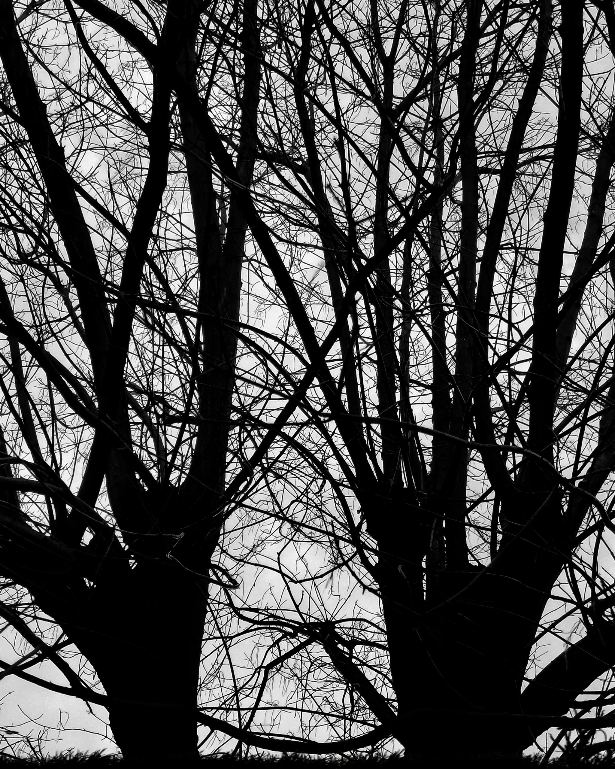 Creatividad 216  – Fotografía creativa móvil en Barakaldo | Ibarakaldo