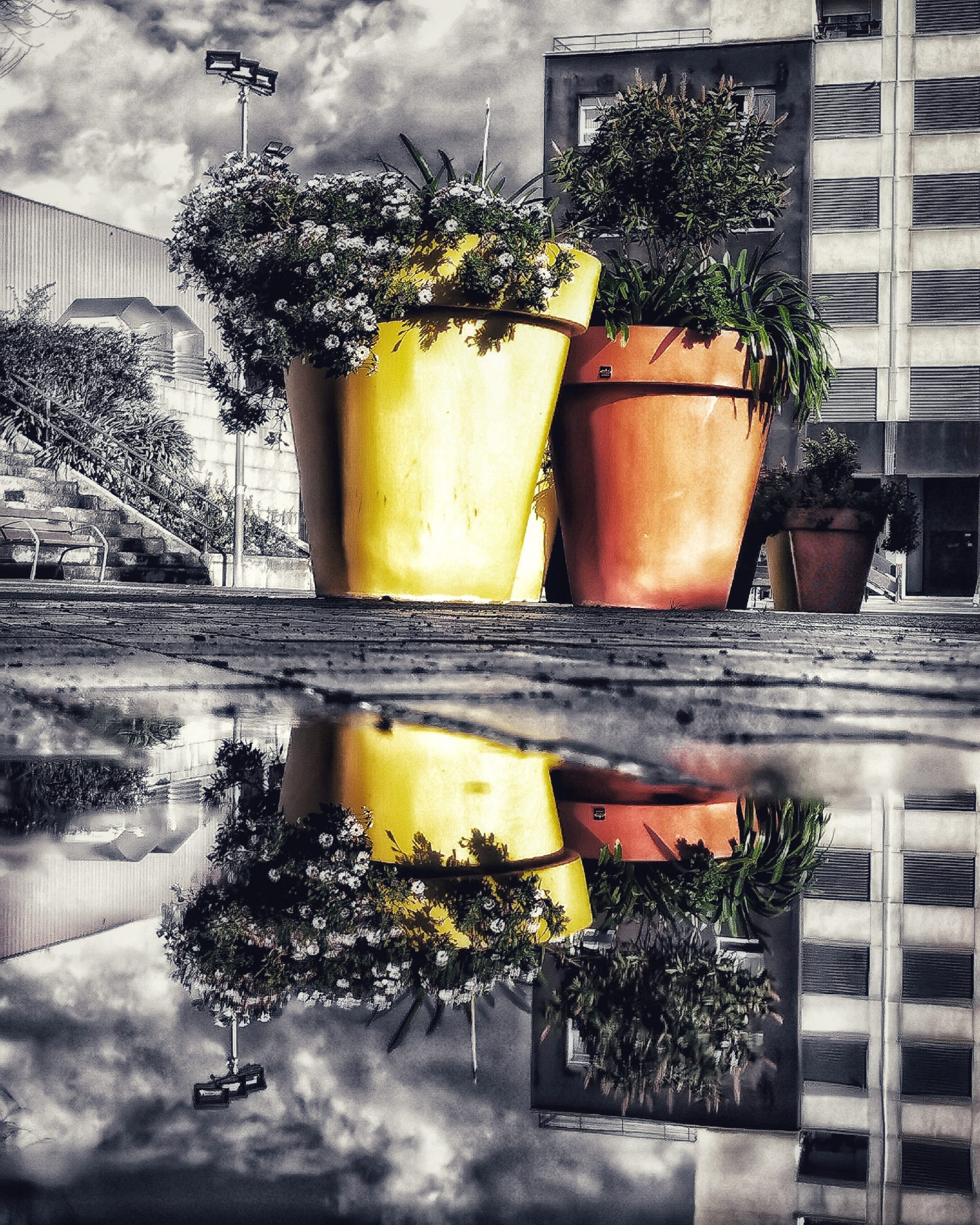 BURTZEÑA Disfrutar el Momento 100 – Fotografía creativa móvil en Barakaldo | Ibarakaldo