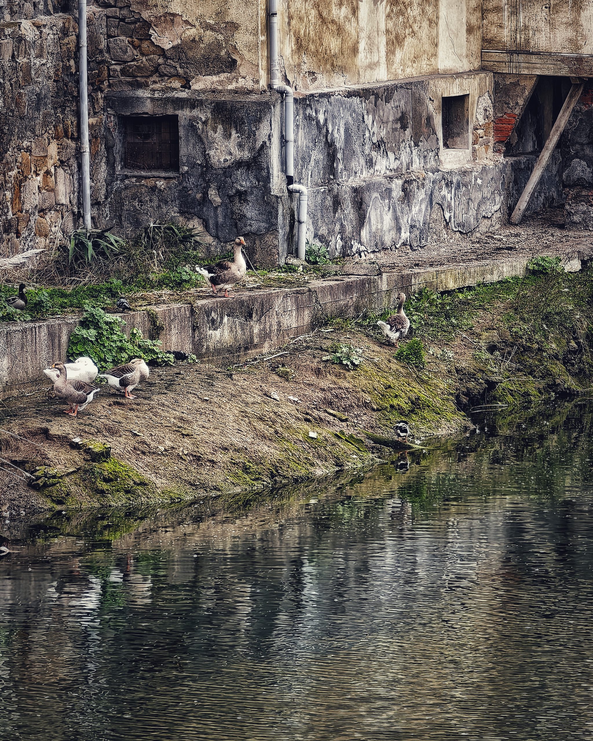 BURTZEÑA Disfrutar el Momento 110 – Fotografía creativa móvil en Barakaldo | Ibarakaldo