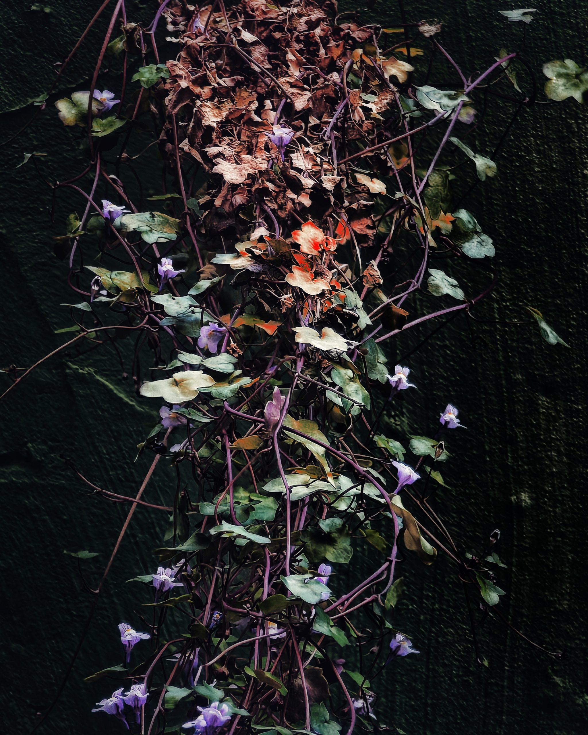 La Primavera 6 – Fotografía creativa móvil en Barakaldo | Ibarakaldo