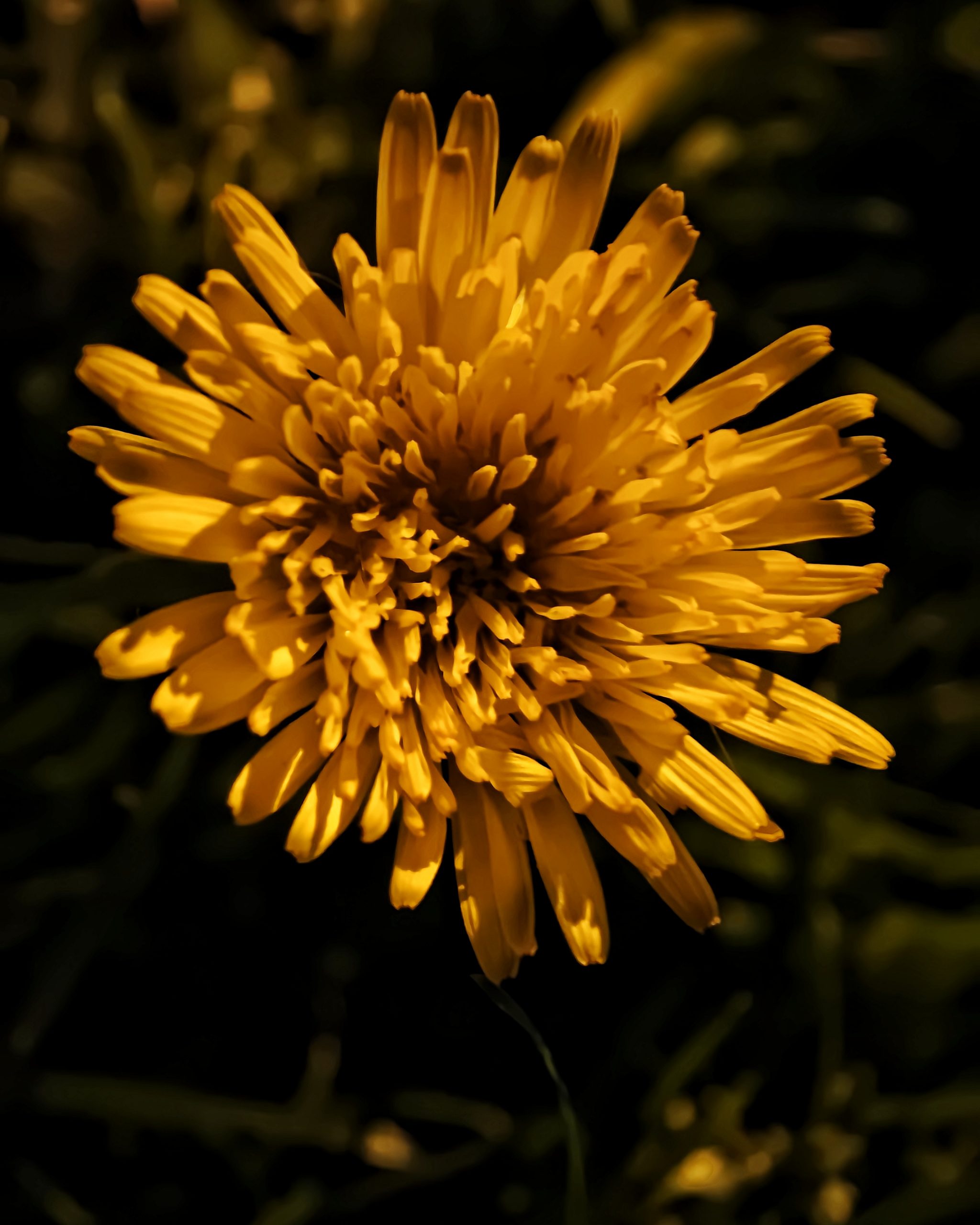 La Primavera 10 – Fotografía creativa móvil en Barakaldo | Ibarakaldo