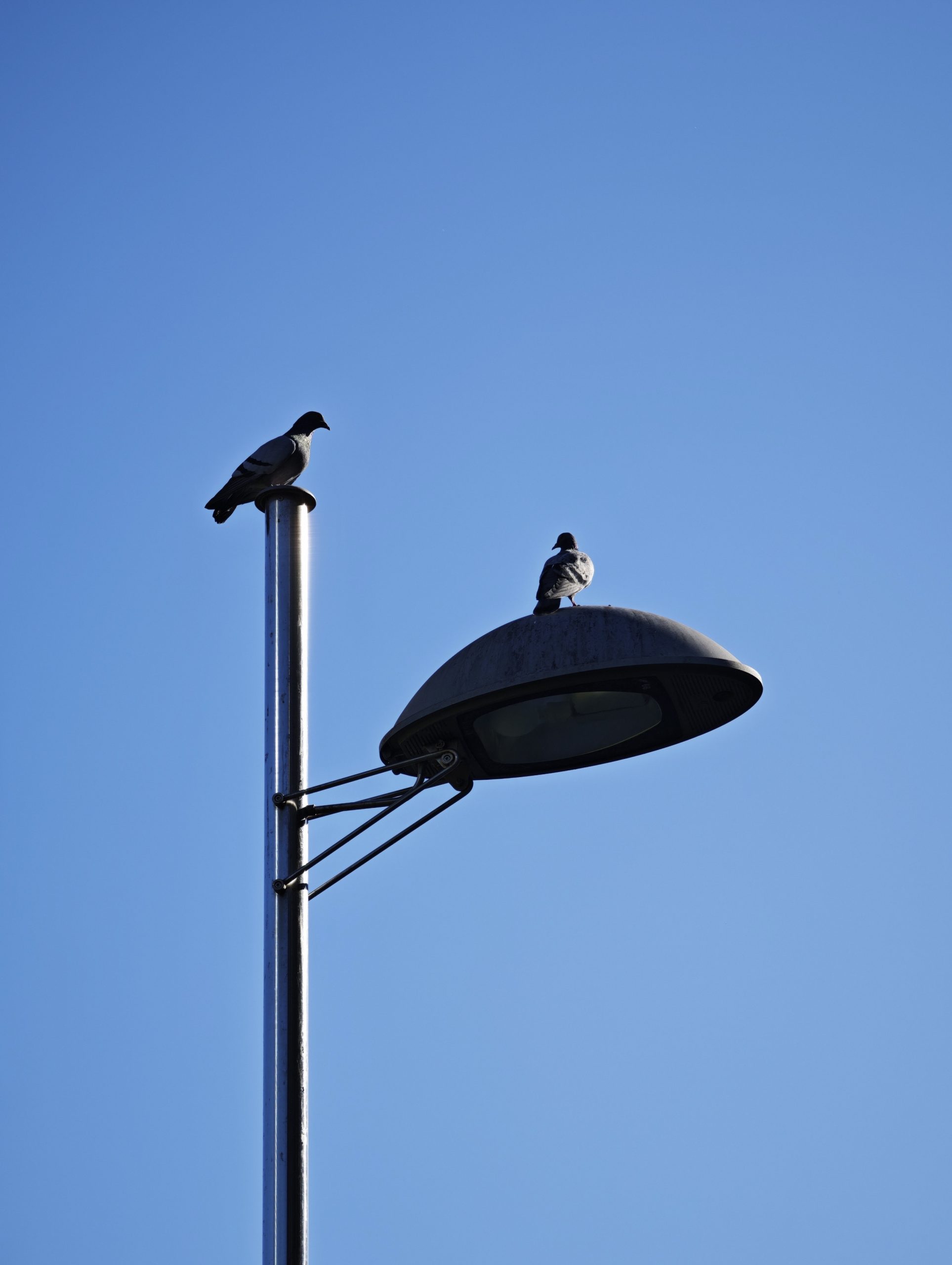 Los Vigias – Fotografía creativa móvil en Barakaldo | Ibarakaldo