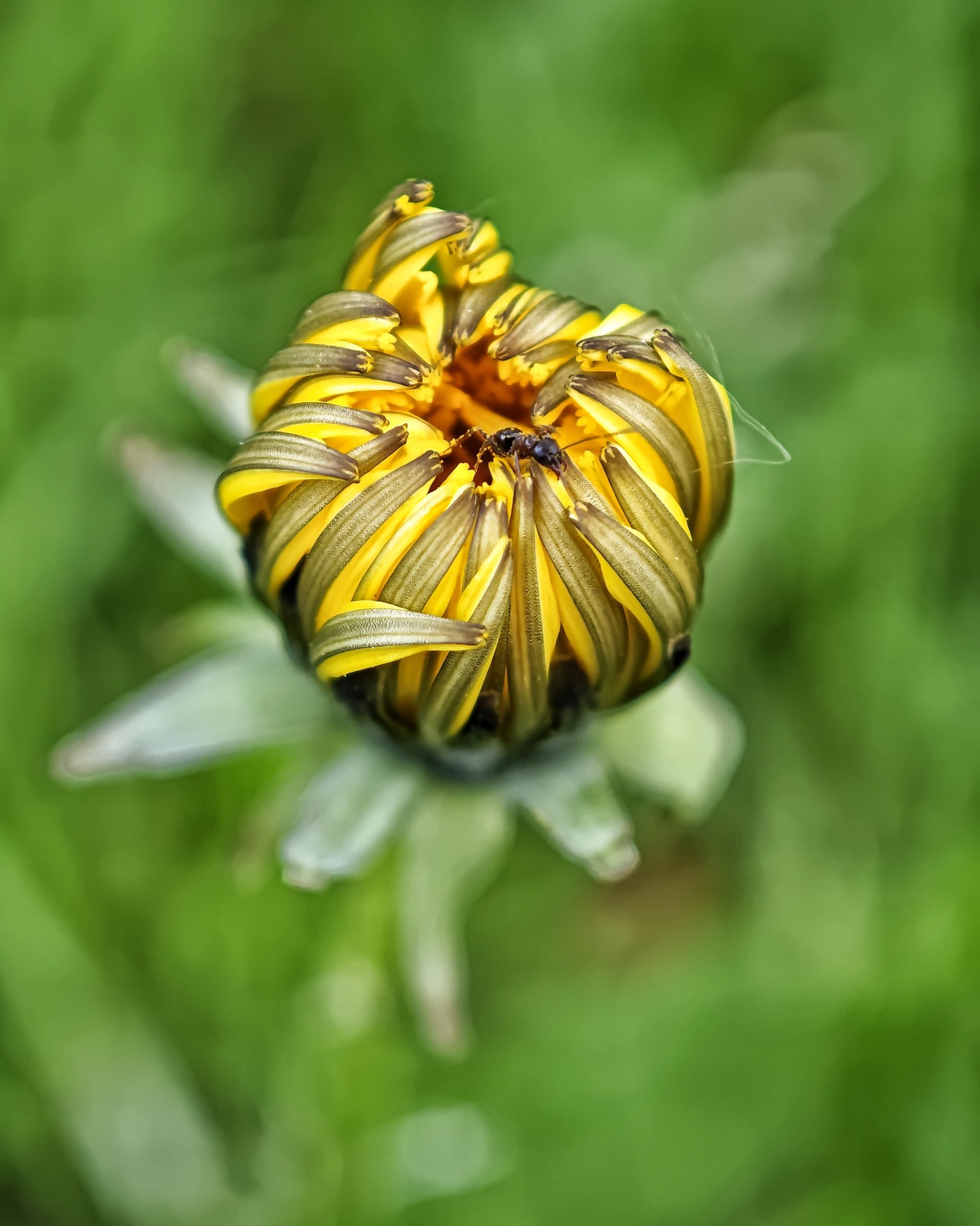 La Primavera 13 – Fotografía creativa móvil en Barakaldo | Ibarakaldo