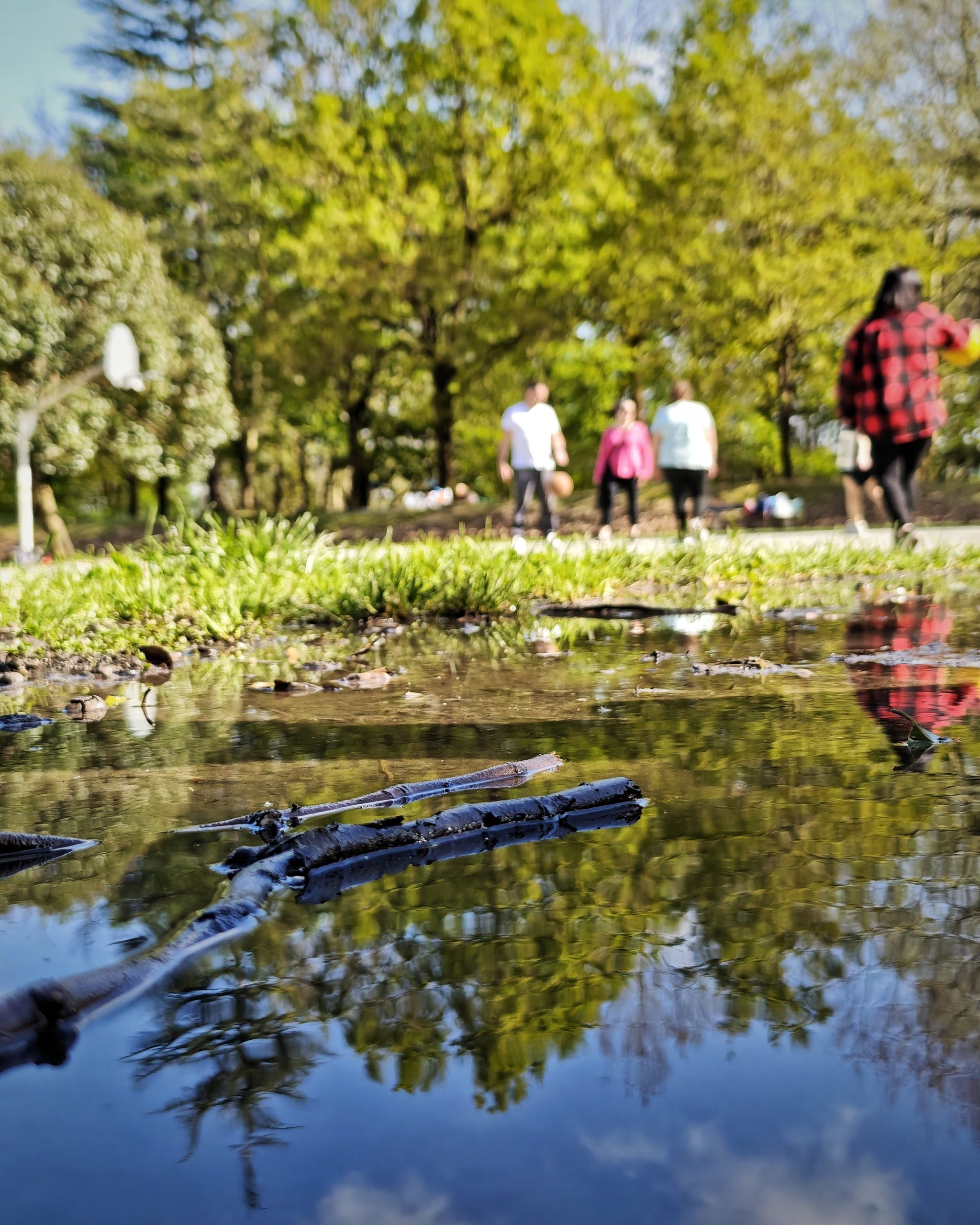 Disfrutar el Momento 111 – Fotografía creativa móvil en Barakaldo | Ibarakaldo