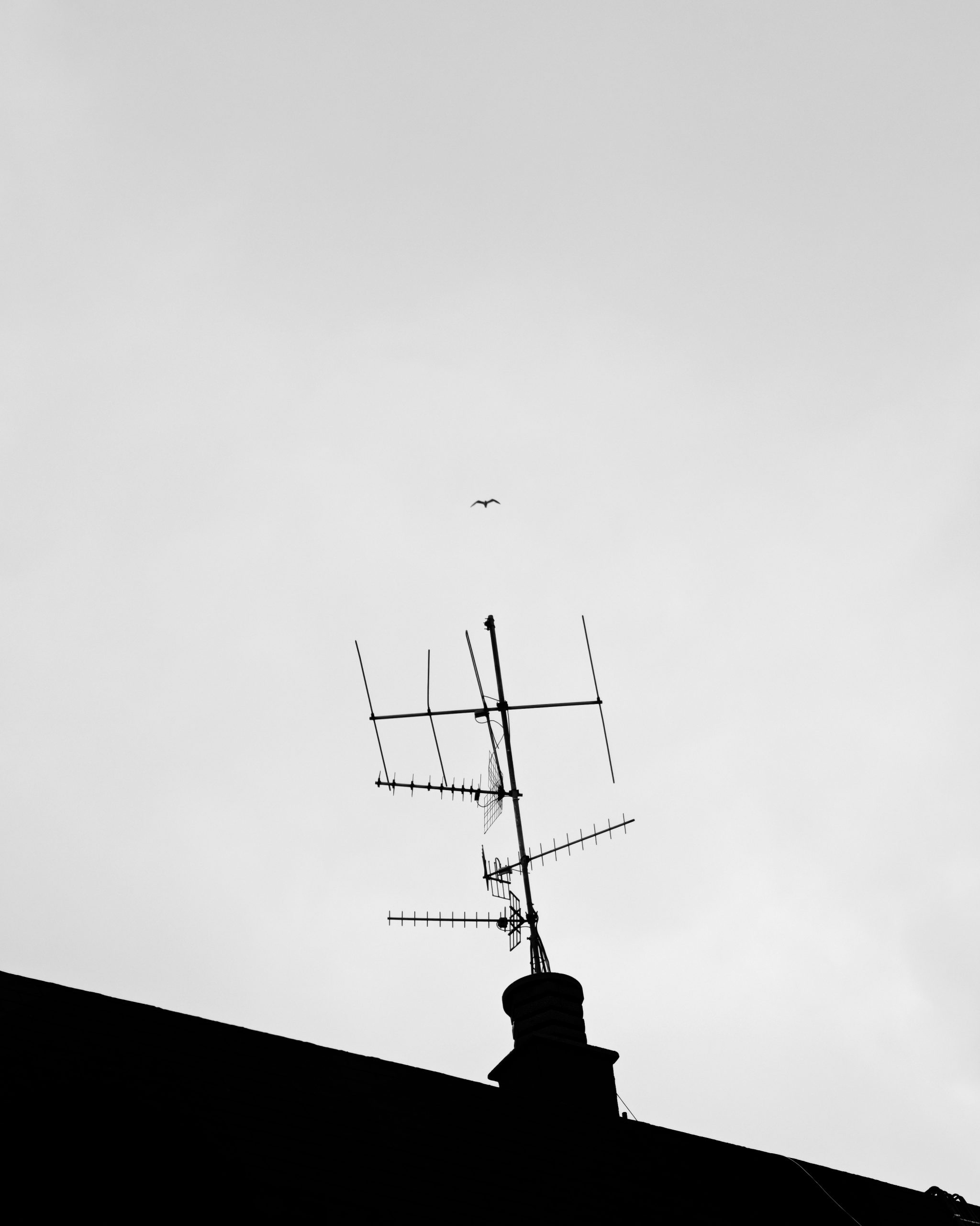 Creatividad 240 – Fotografía creativa móvil en Barakaldo | Ibarakaldo