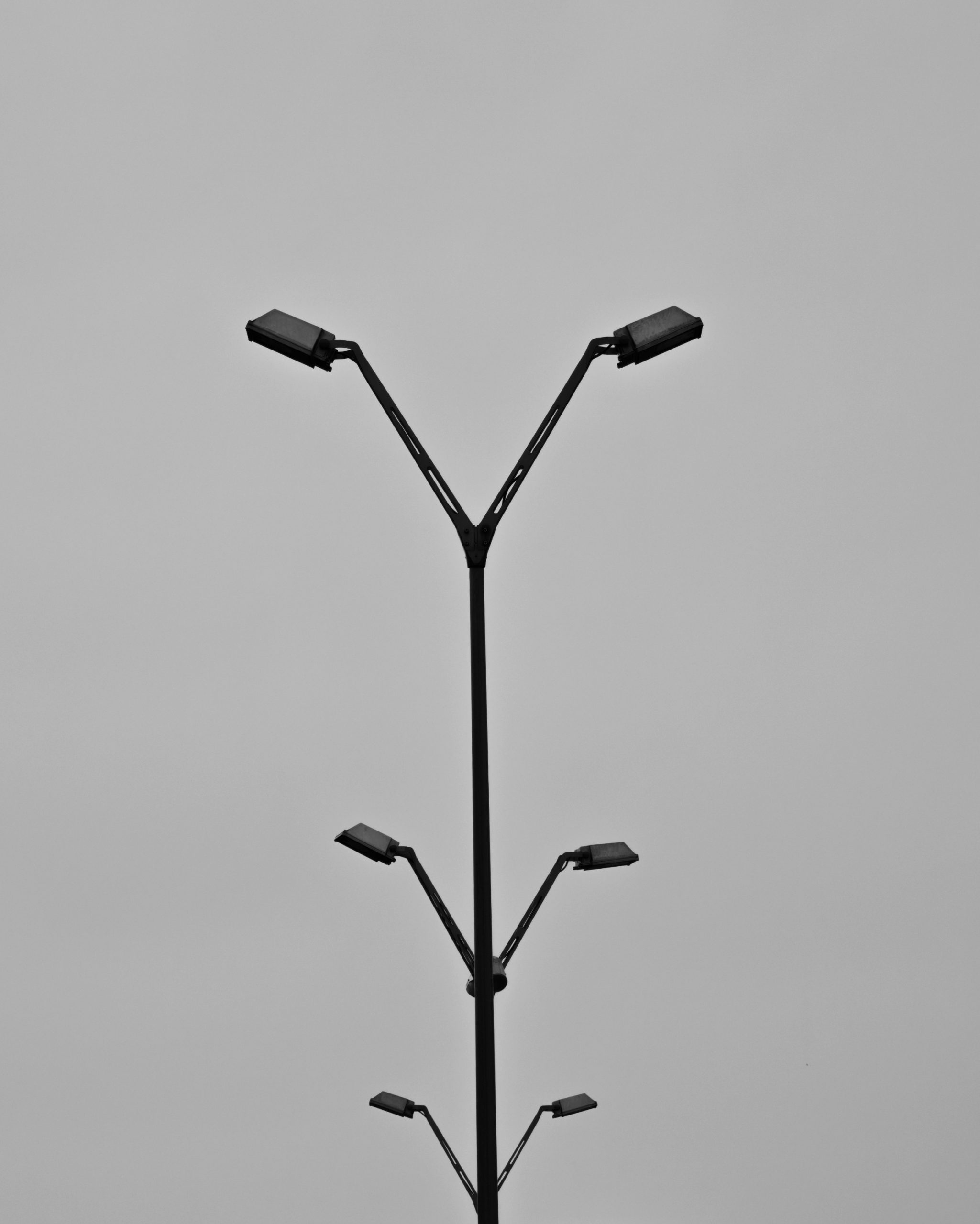 Arbol de Metal Tree – Fotografía creativa móvil en Barakaldo | Ibarakaldo