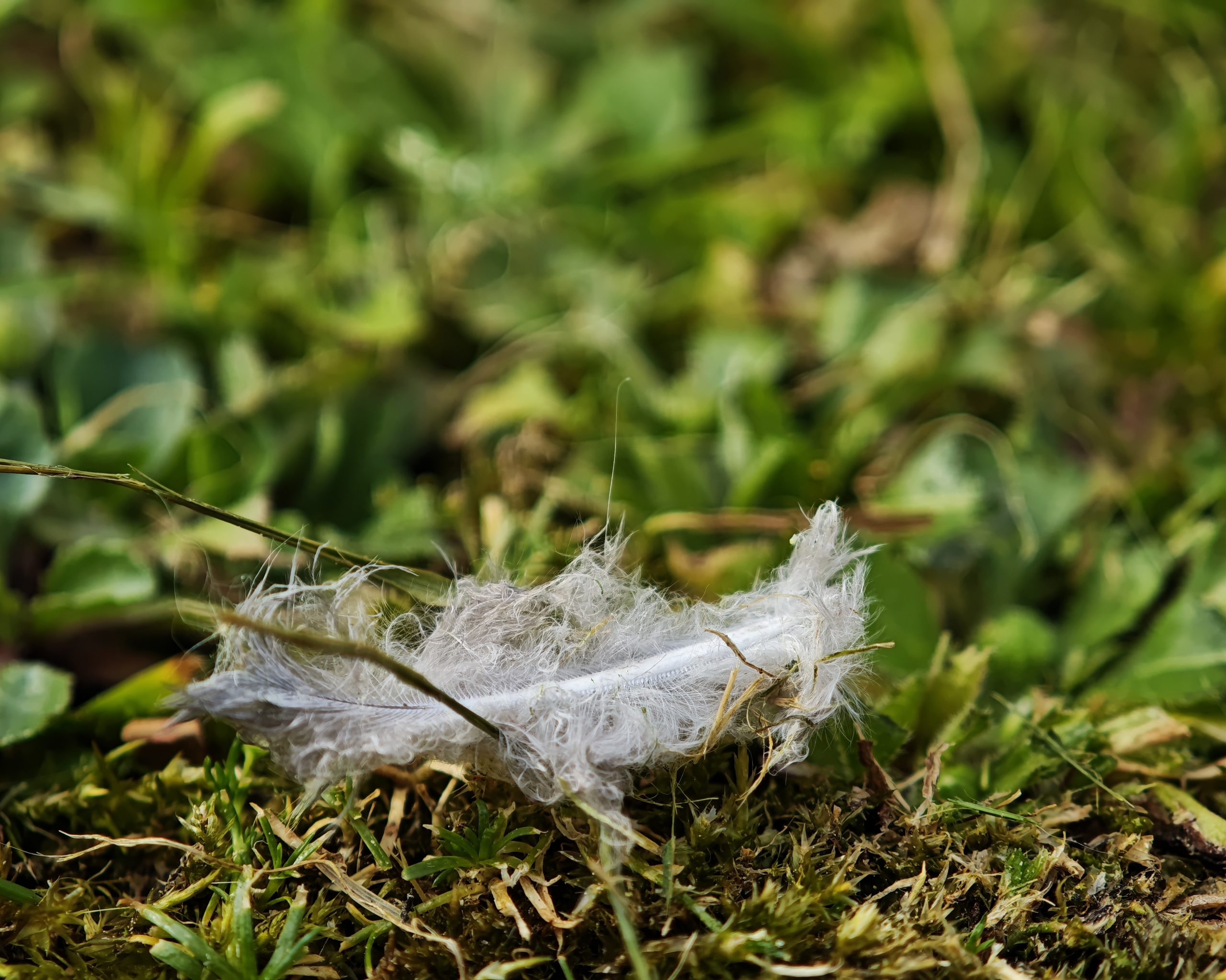 La Primavera 14 – Fotografía creativa móvil en Barakaldo | Ibarakaldo