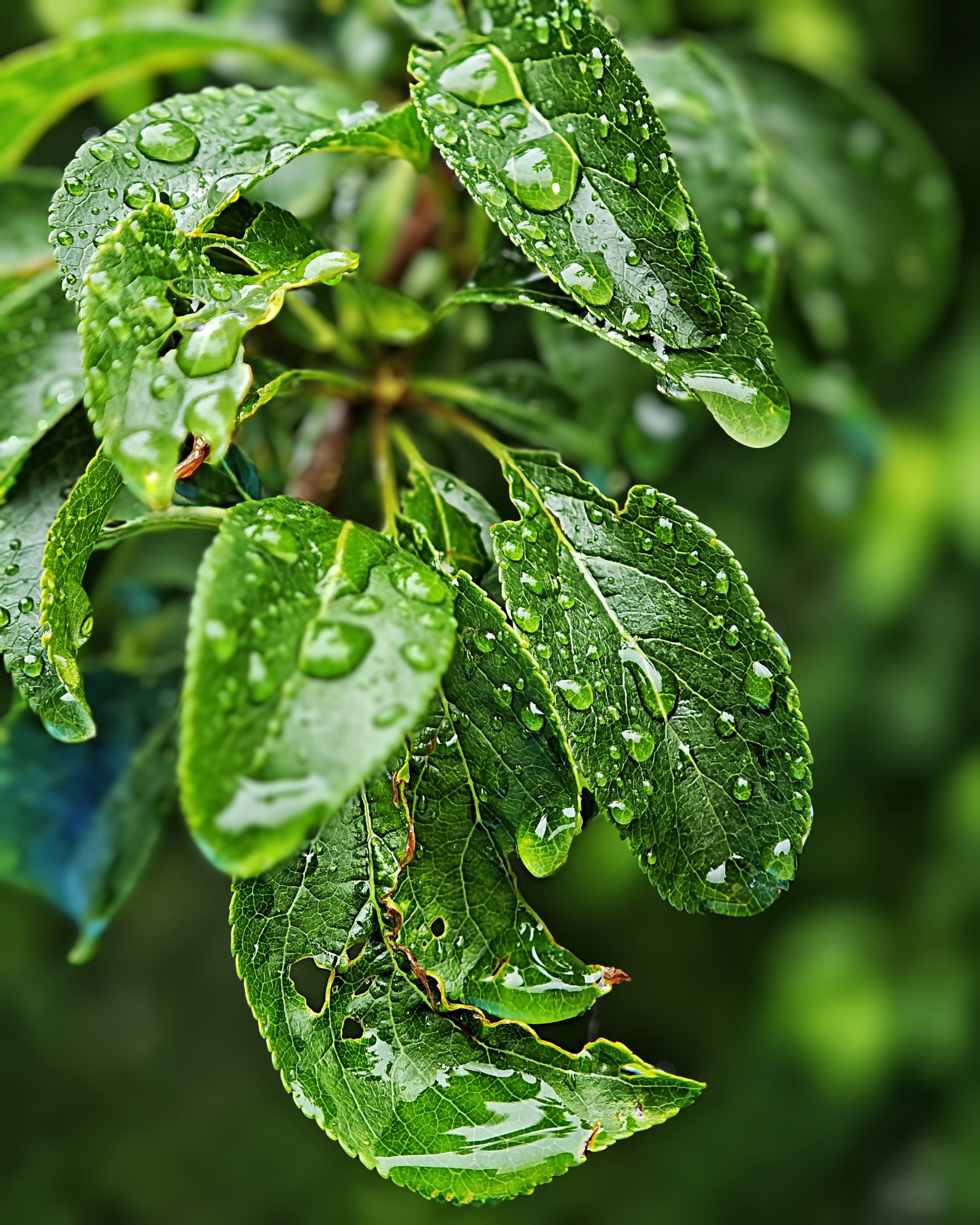 La Primavera 17 – Fotografía creativa móvil en Barakaldo | Ibarakaldo