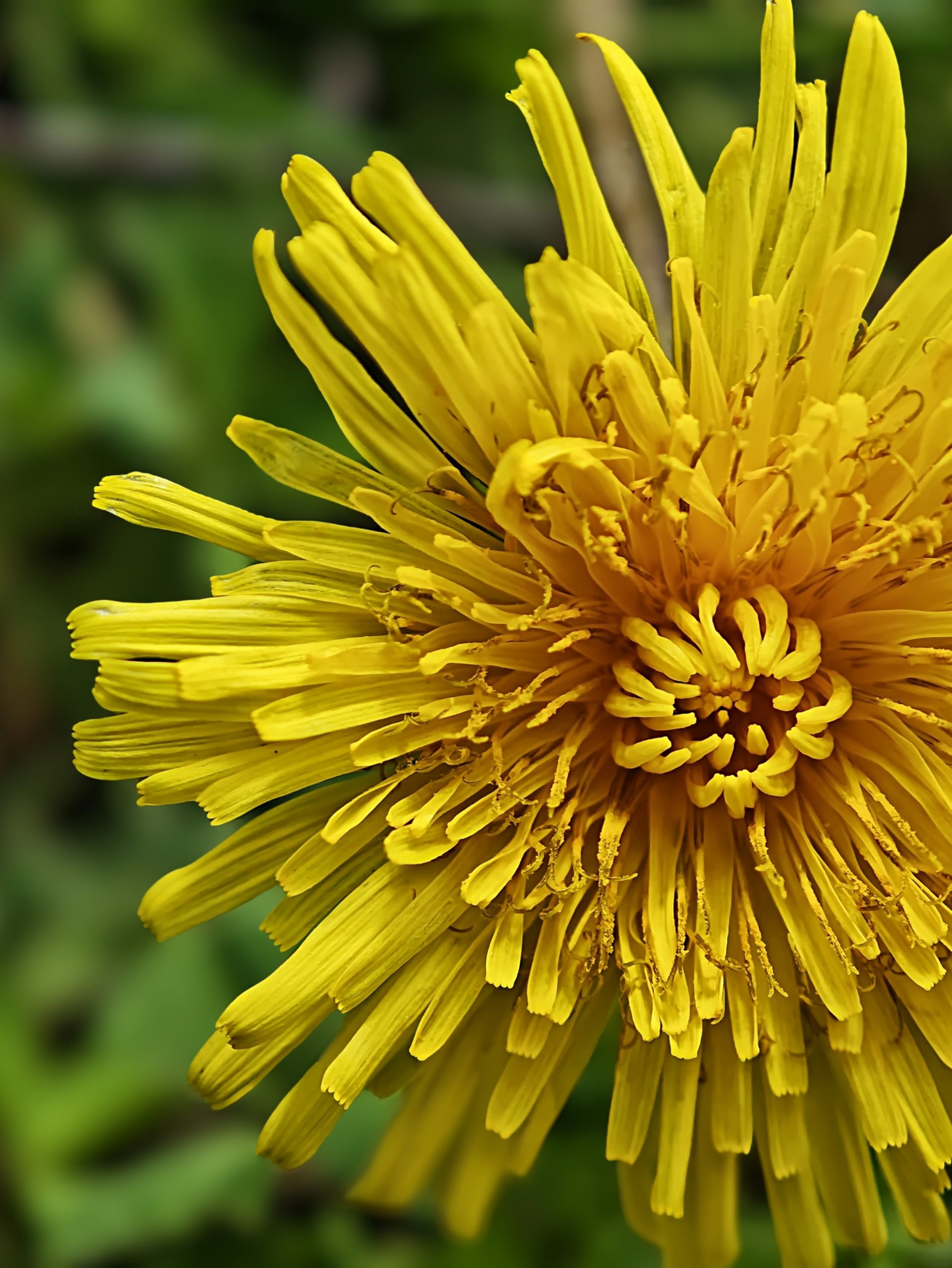 La Primavera 18 – Fotografía creativa móvil en Barakaldo | Ibarakaldo
