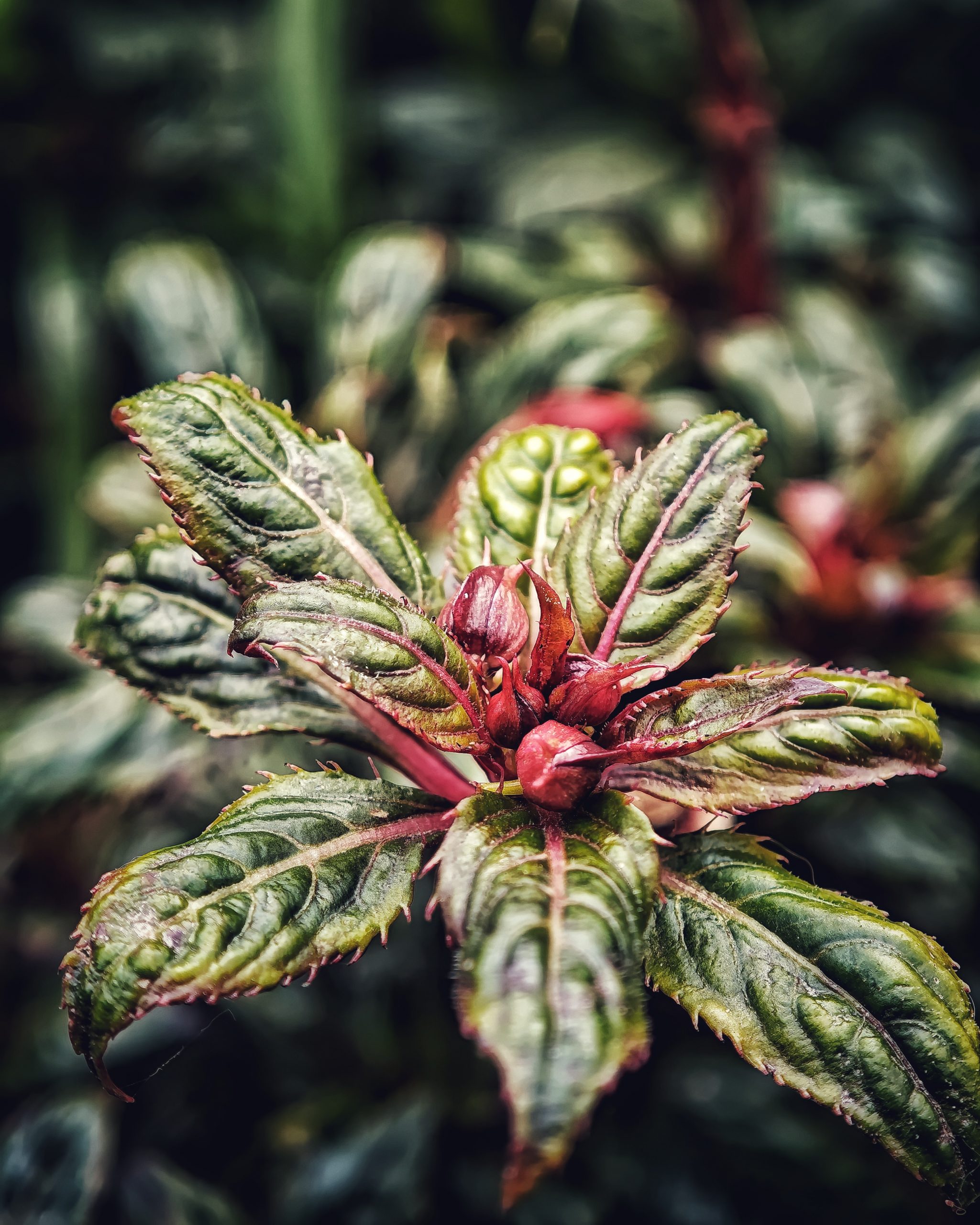 La Primavera 16 – Fotografía creativa móvil en Barakaldo | Ibarakaldo