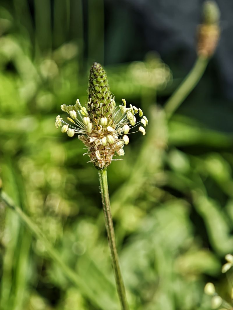 Verano – Fotografía creativa móvil en Barakaldo | Ibarakaldo