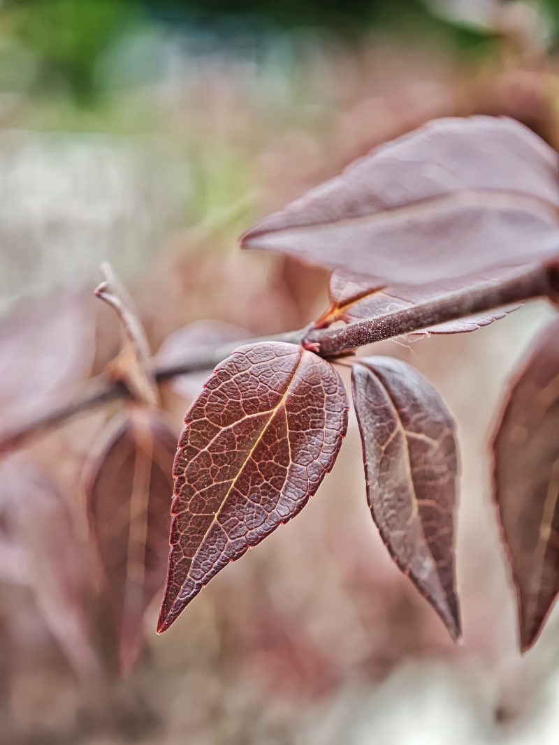 Verano 2 – Fotografía creativa móvil en Barakaldo | Ibarakaldo