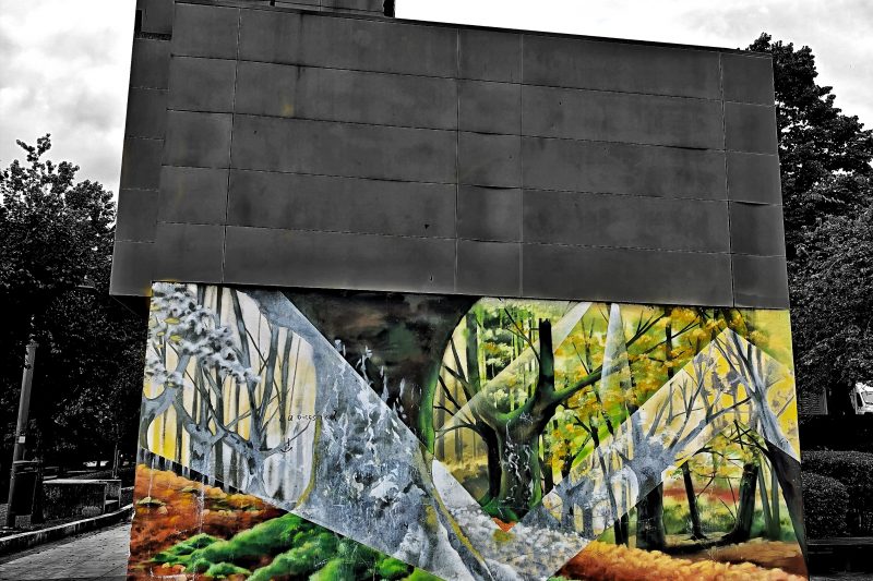 Naturaleza Splash | Desaturalo Selectivo Splash (Cut Out). Fotografía Creativa Ibarakaldo