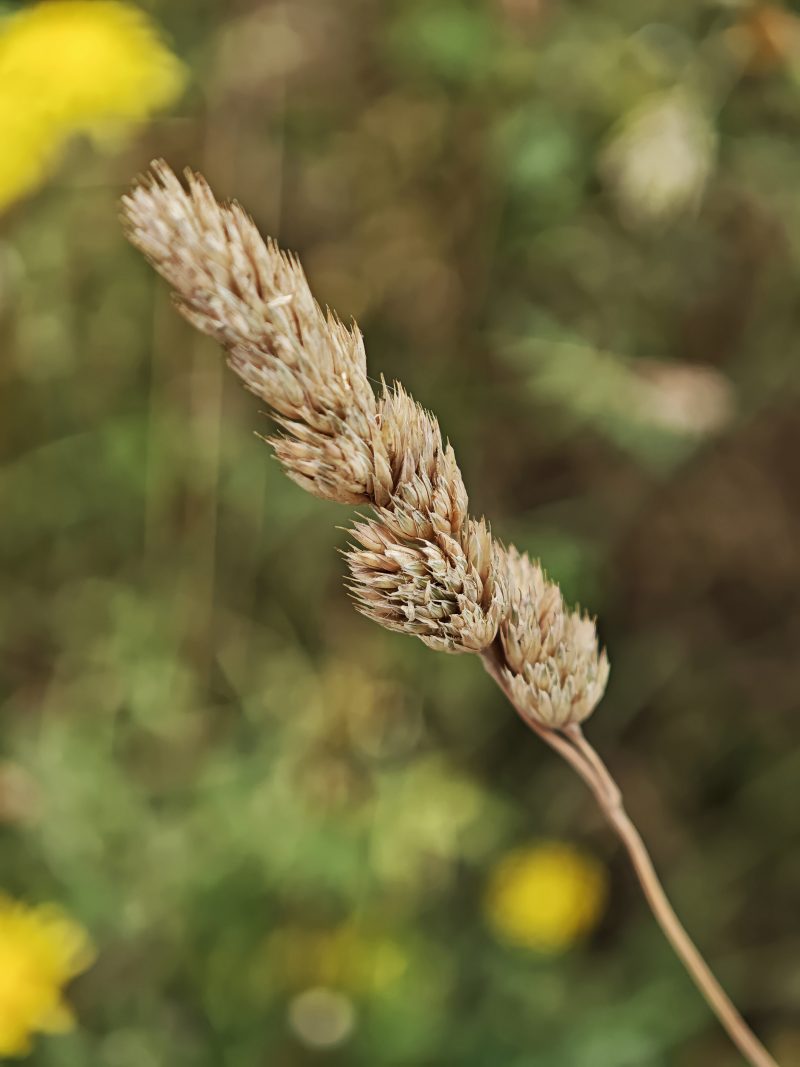 Verano 4 – Fotografía creativa móvil en Barakaldo | Ibarakaldo