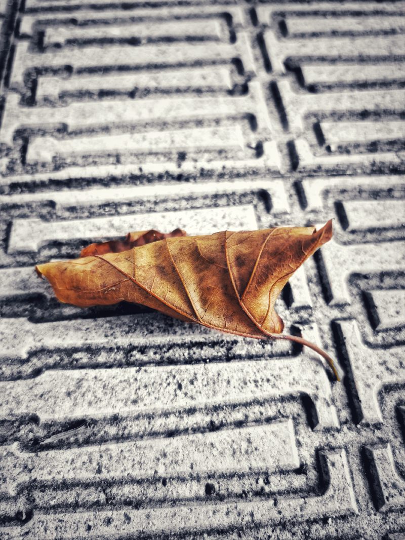 Los pequeños detalles 86  – Fotografía creativa móvil en Barakaldo | Ibarakaldo