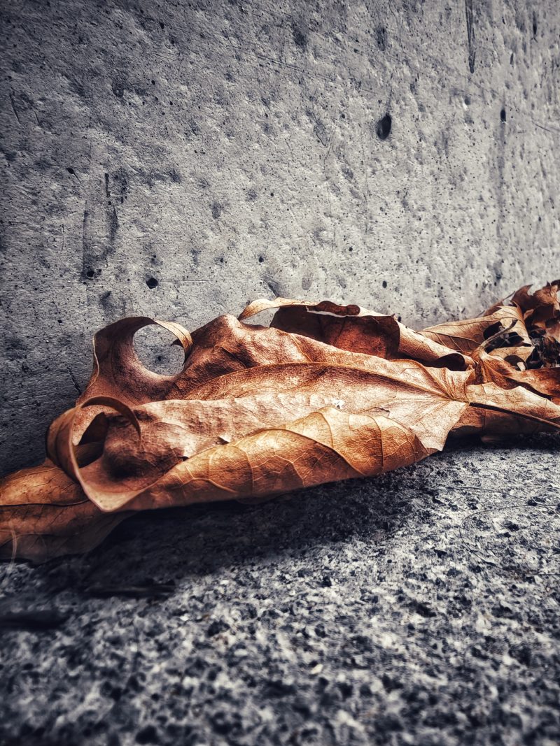 Los pequeños detalles 87 – Fotografía creativa móvil en Barakaldo | Ibarakaldo