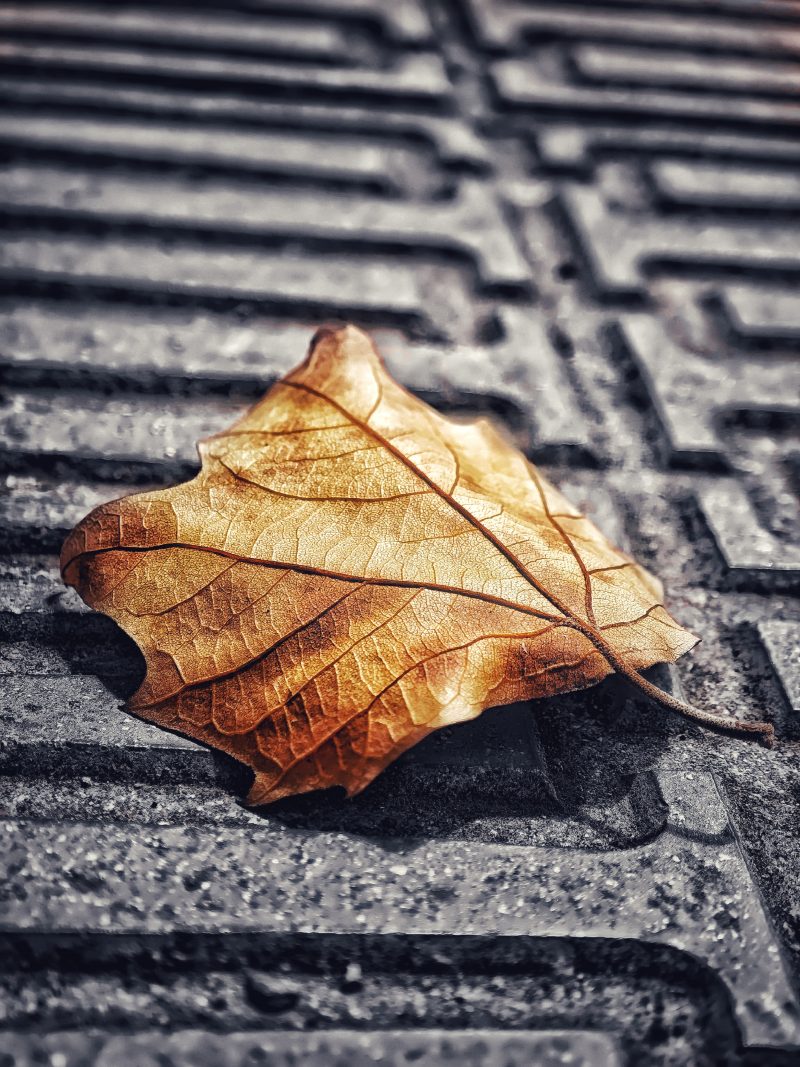 Los pequeños detalles 88 – Fotografía creativa móvil en Barakaldo | Ibarakaldo