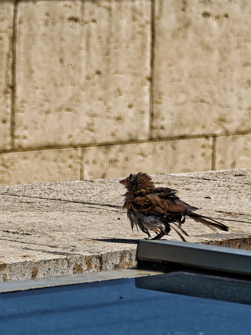 … y yo con estos pelos– Fotografía creativa móvil en Barakaldo | Ibarakaldo