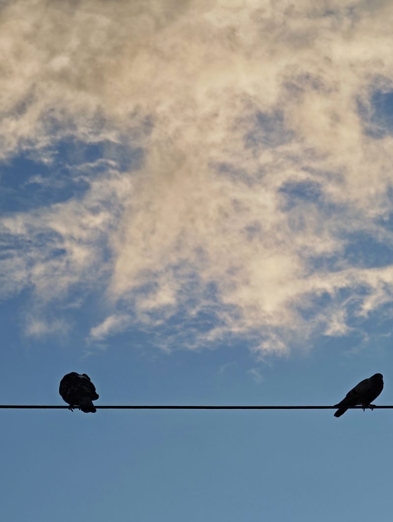 Se han enfadao – Fotografía creativa móvil en Barakaldo | Ibarakaldo