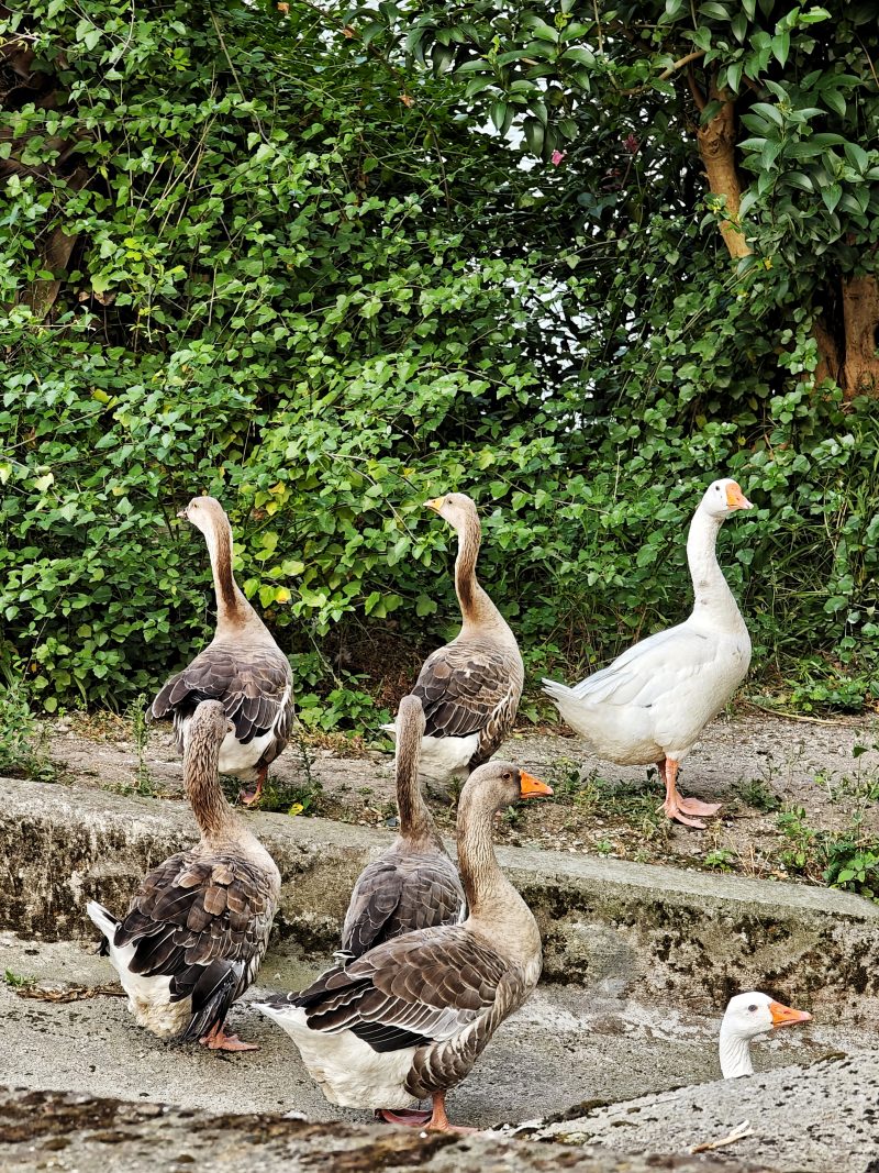Manifestación…3 – Fotografía creativa móvil en Barakaldo | Ibarakaldo