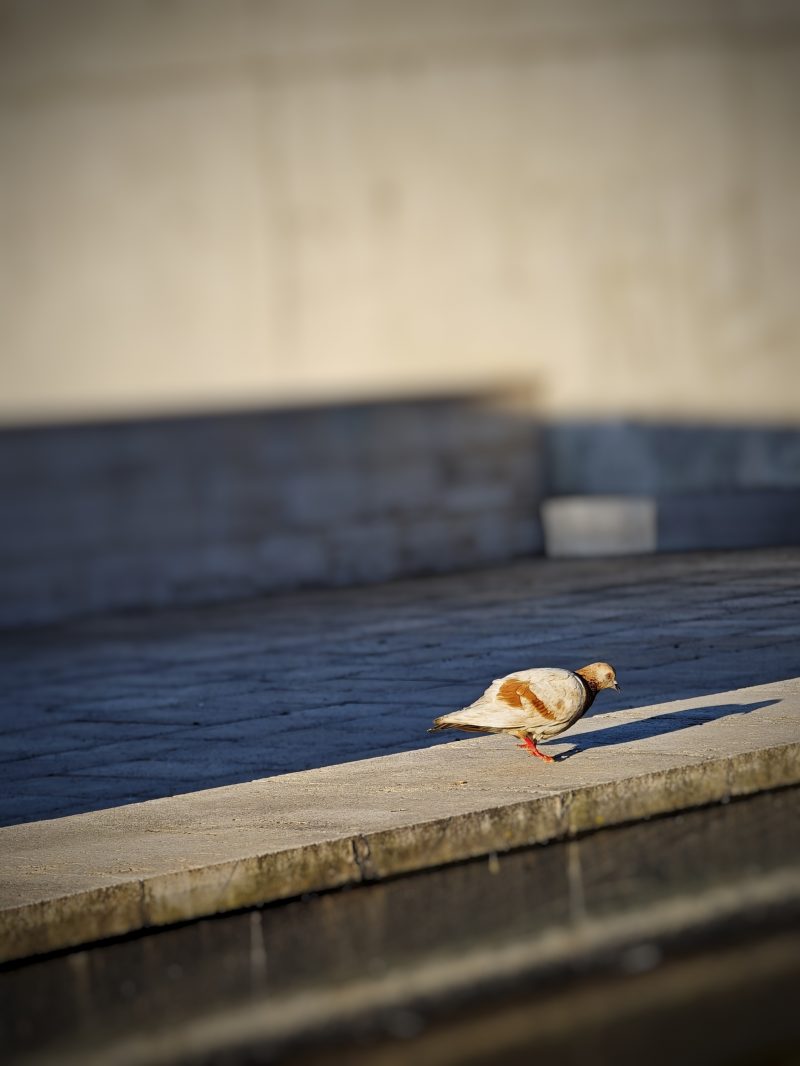 …un poquito de Sombra, por favore – Fotografía creativa móvil en Barakaldo | Ibarakaldo