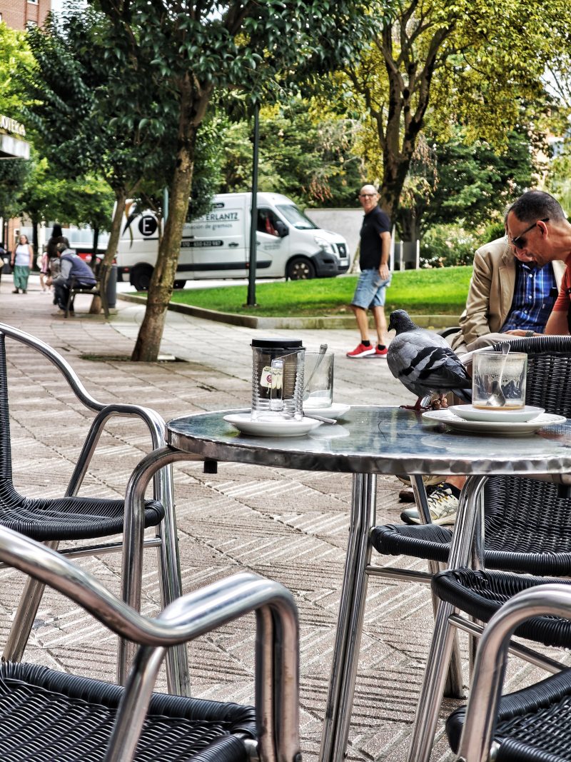 Picnic… – Fotografía creativa móvil en Barakaldo | Ibarakaldo