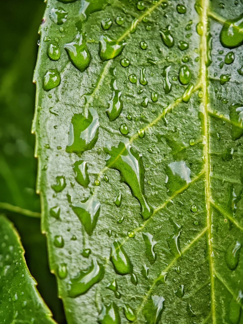 El Momento – Fotografía creativa móvil en Barakaldo | Ibarakaldo